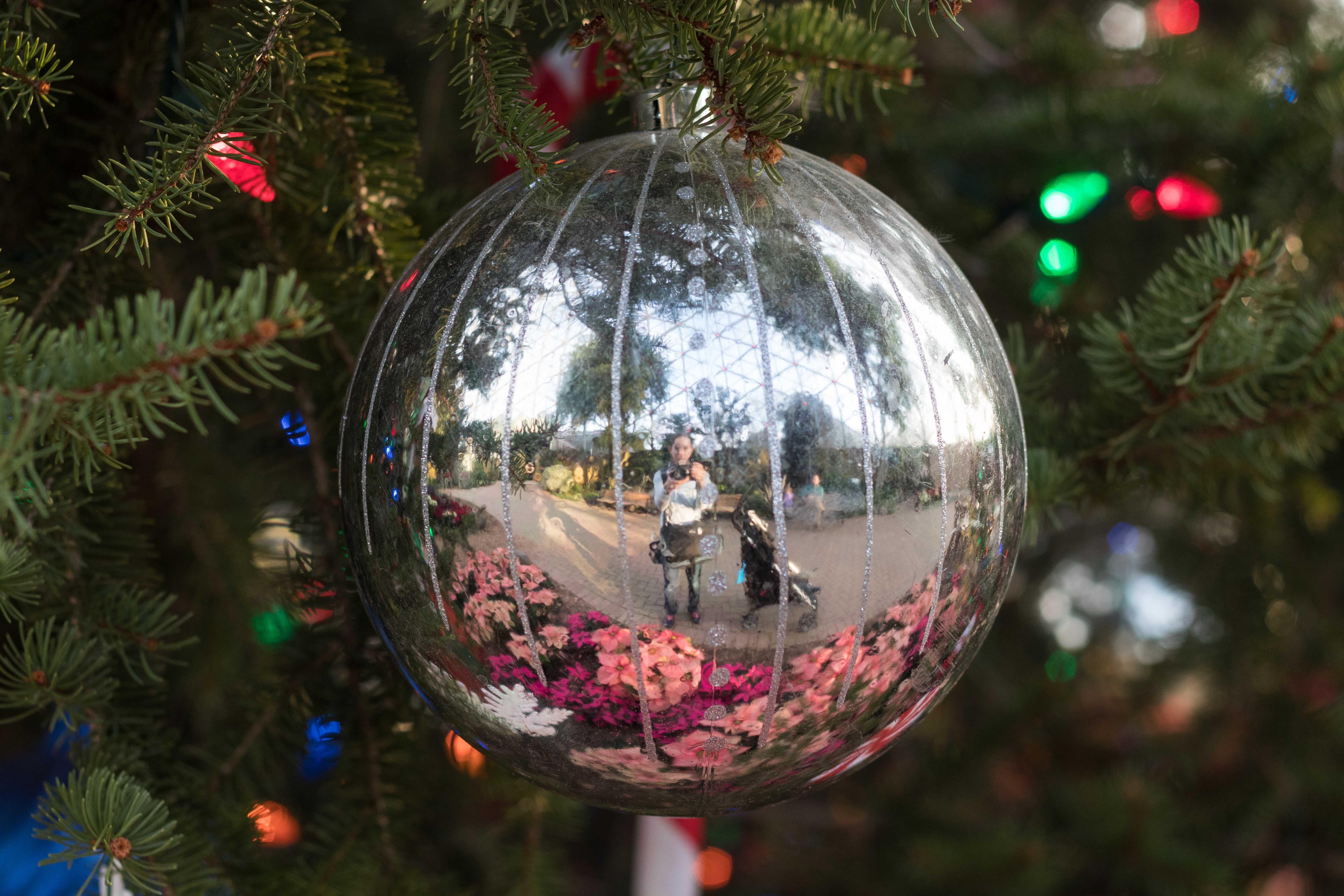 Mitchell Park Domes Naughty or Nice Holiday Floral Show | https://www.roseclearfield.com