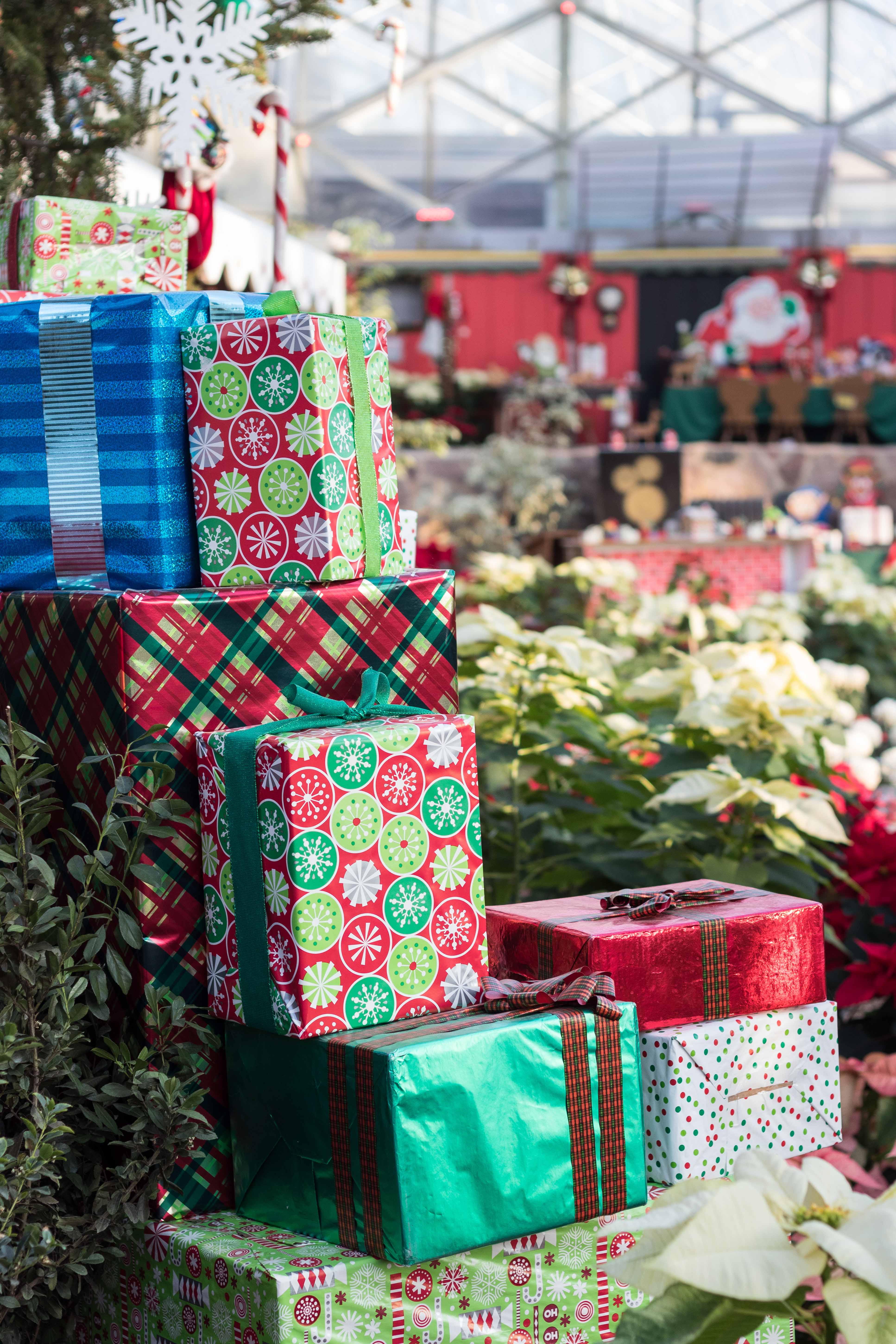 Mitchell Park Domes Naughty or Nice Holiday Floral Show | https://www.roseclearfield.com