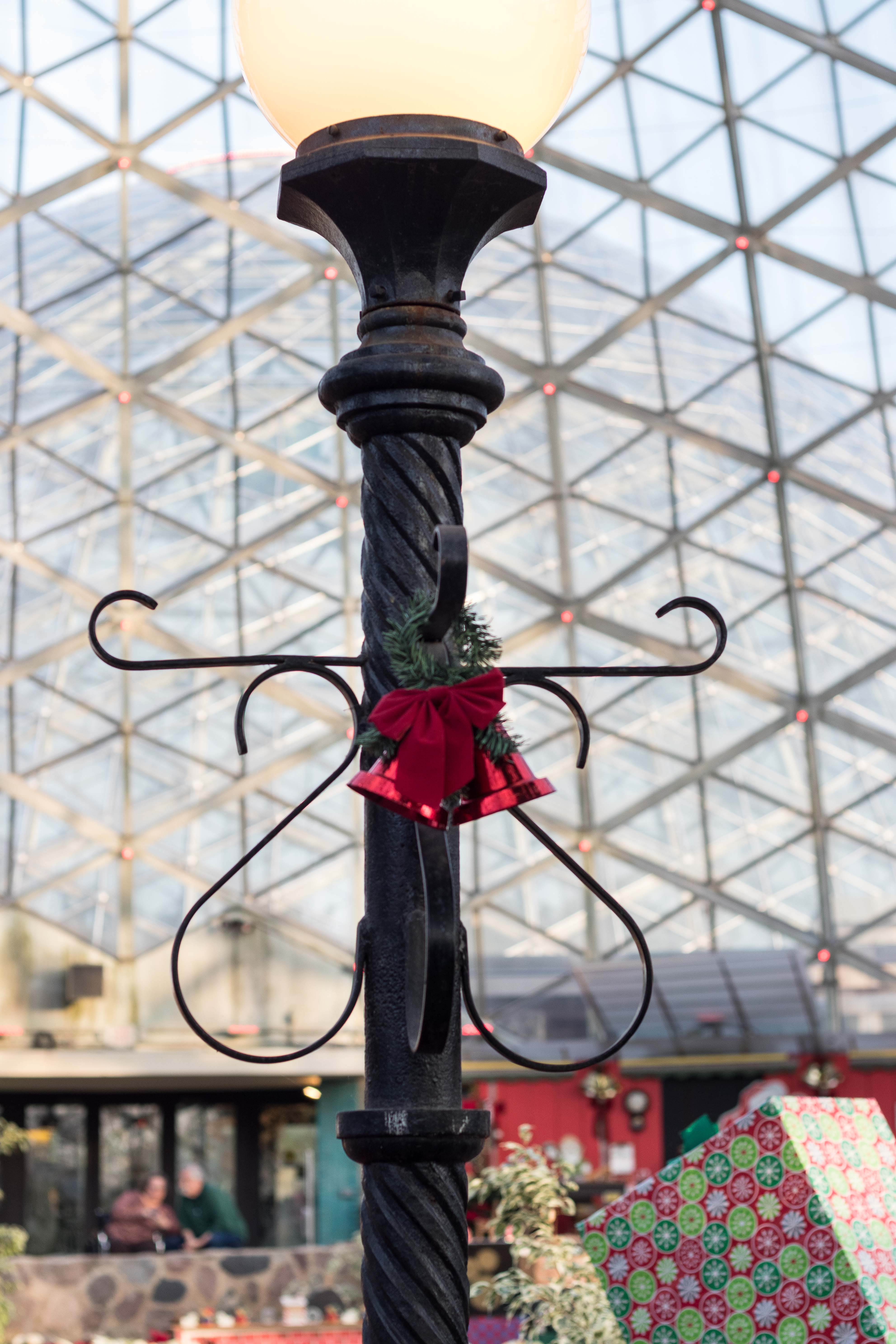 Mitchell Park Domes Naughty or Nice Holiday Floral Show | https://www.roseclearfield.com