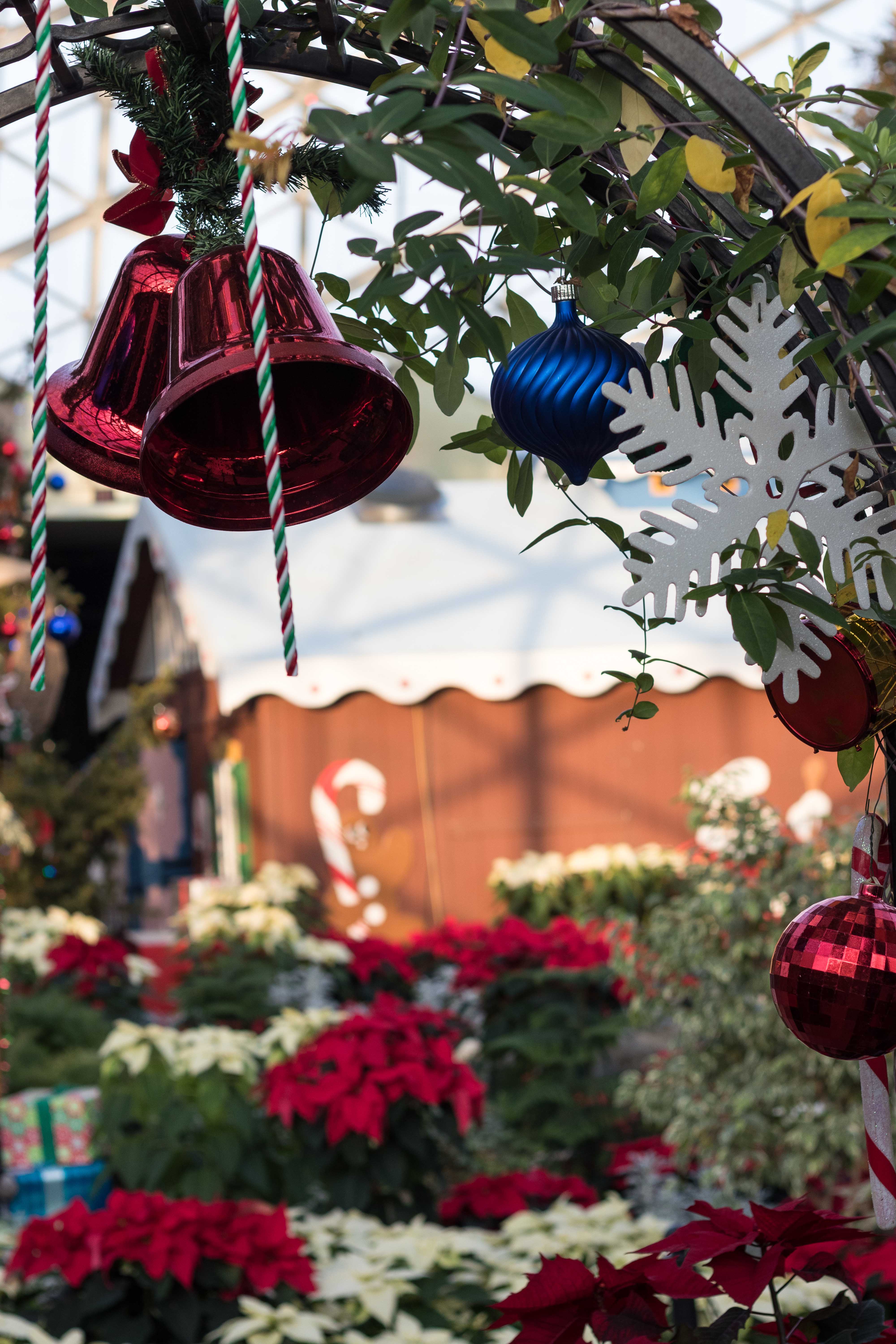 Mitchell Park Domes Naughty or Nice Holiday Floral Show | https://www.roseclearfield.com