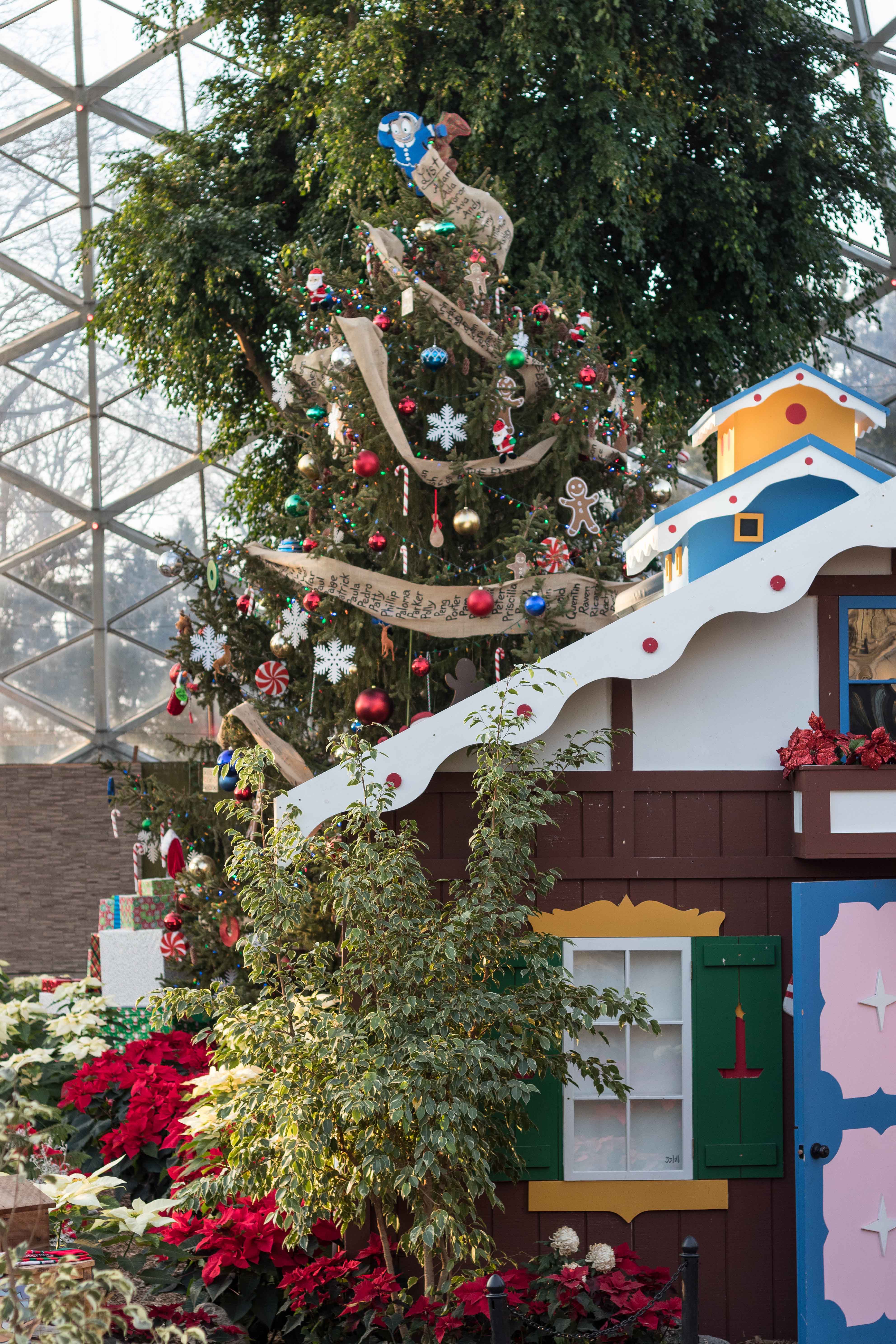 Mitchell Park Domes Naughty or Nice Holiday Floral Show | https://www.roseclearfield.com