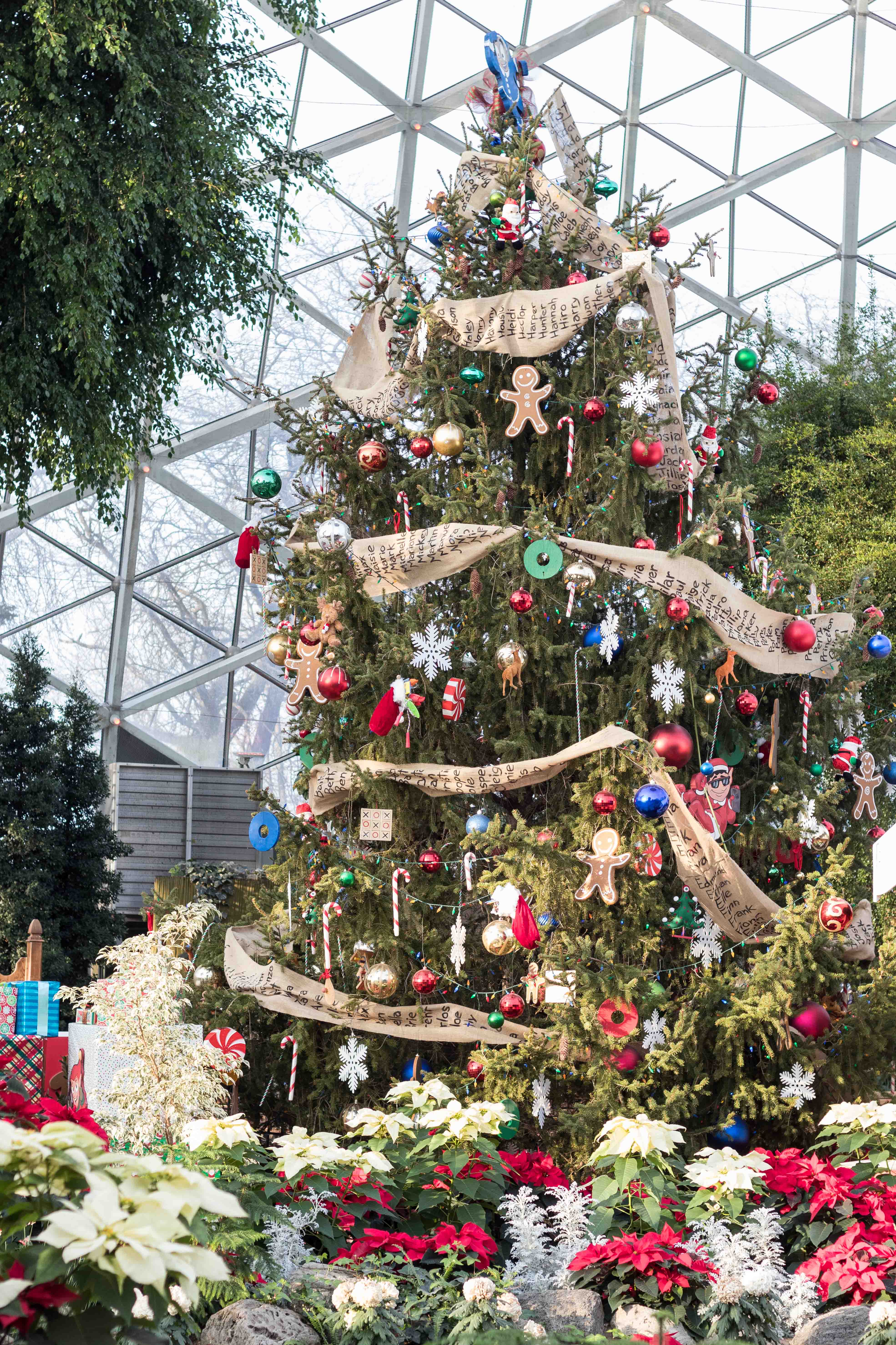 Mitchell Park Domes Naughty or Nice Holiday Floral Show | https://www.roseclearfield.com