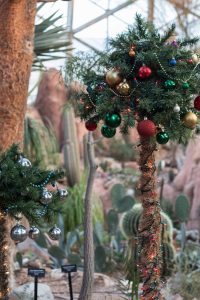 Mitchell Park Domes Naughty or Nice Holiday Floral Show | https://www.roseclearfield.com