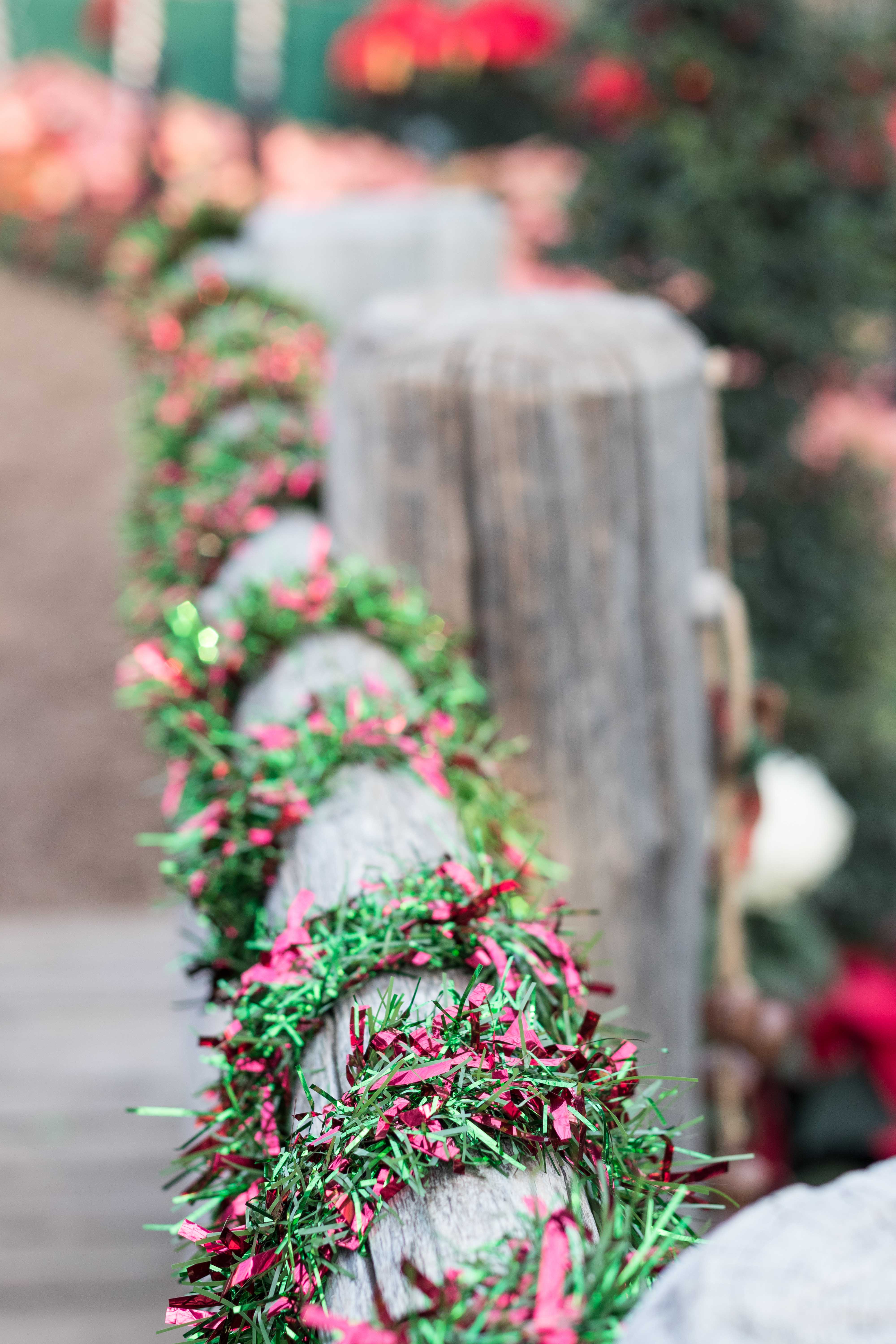 Mitchell Park Domes Naughty or Nice Holiday Floral Show | https://www.roseclearfield.com