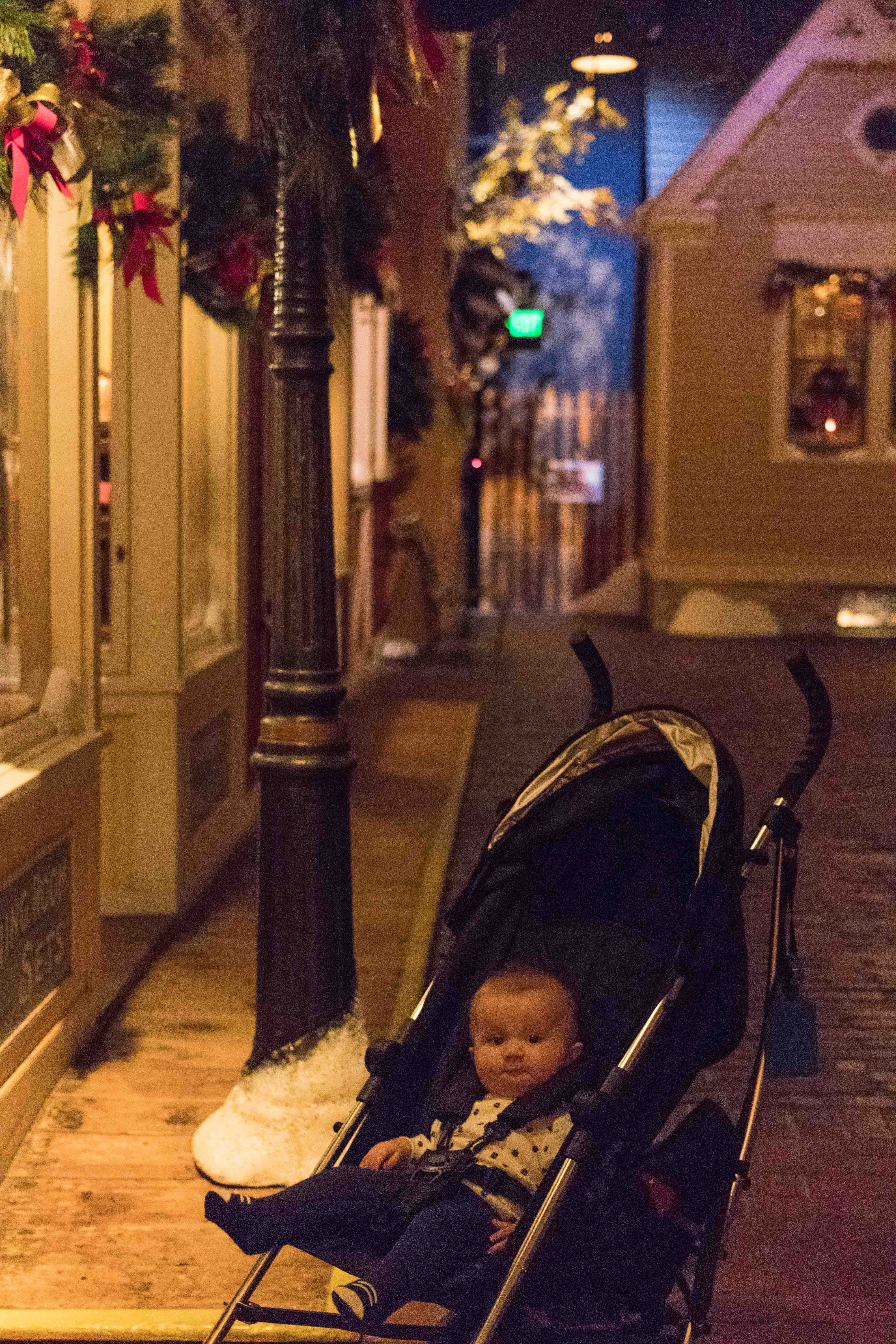 Deck the Streets of Old Milwaukee at the Milwaukee Public Museum | https://www.roseclearfield.com