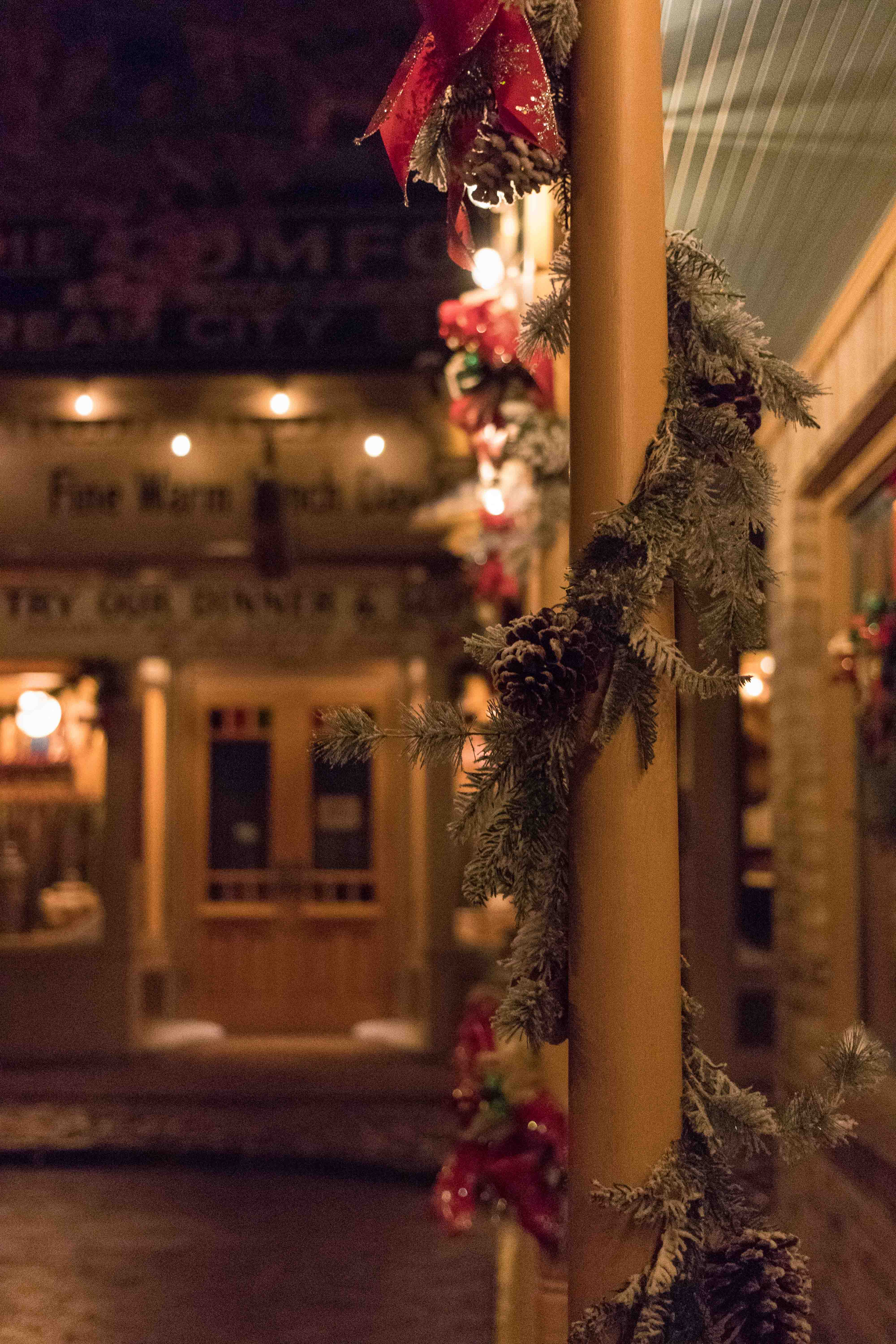 Deck the Streets of Old Milwaukee at the Milwaukee Public Museum | https://www.roseclearfield.com