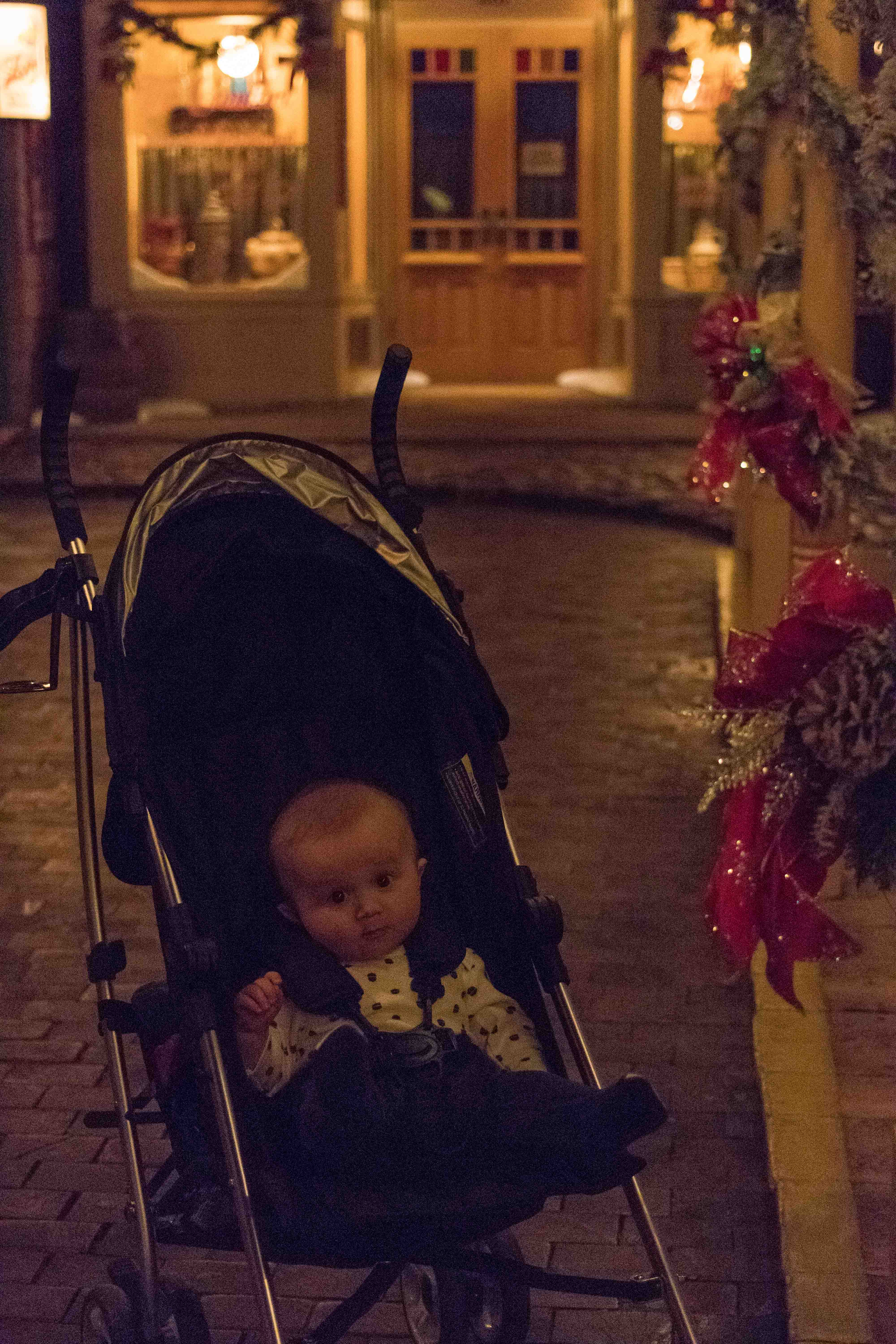 Deck the Streets of Old Milwaukee at the Milwaukee Public Museum | https://www.roseclearfield.com