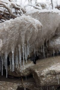 Winter Lake Views January 2018 | https://www.roseclearfield.com