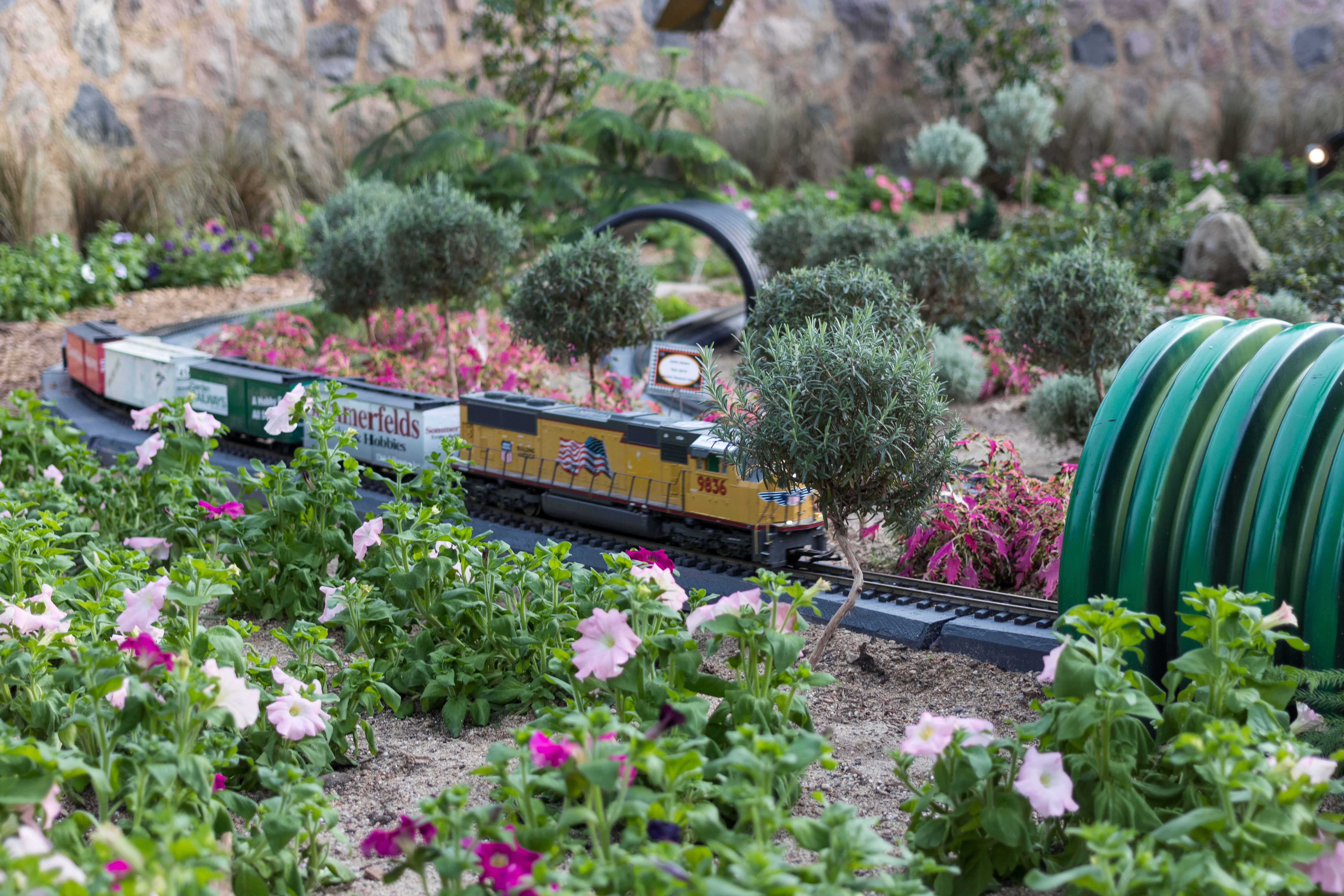 Railroad to Wonderland Garden Train Show at the Domes | https://www.roseclearfield.com