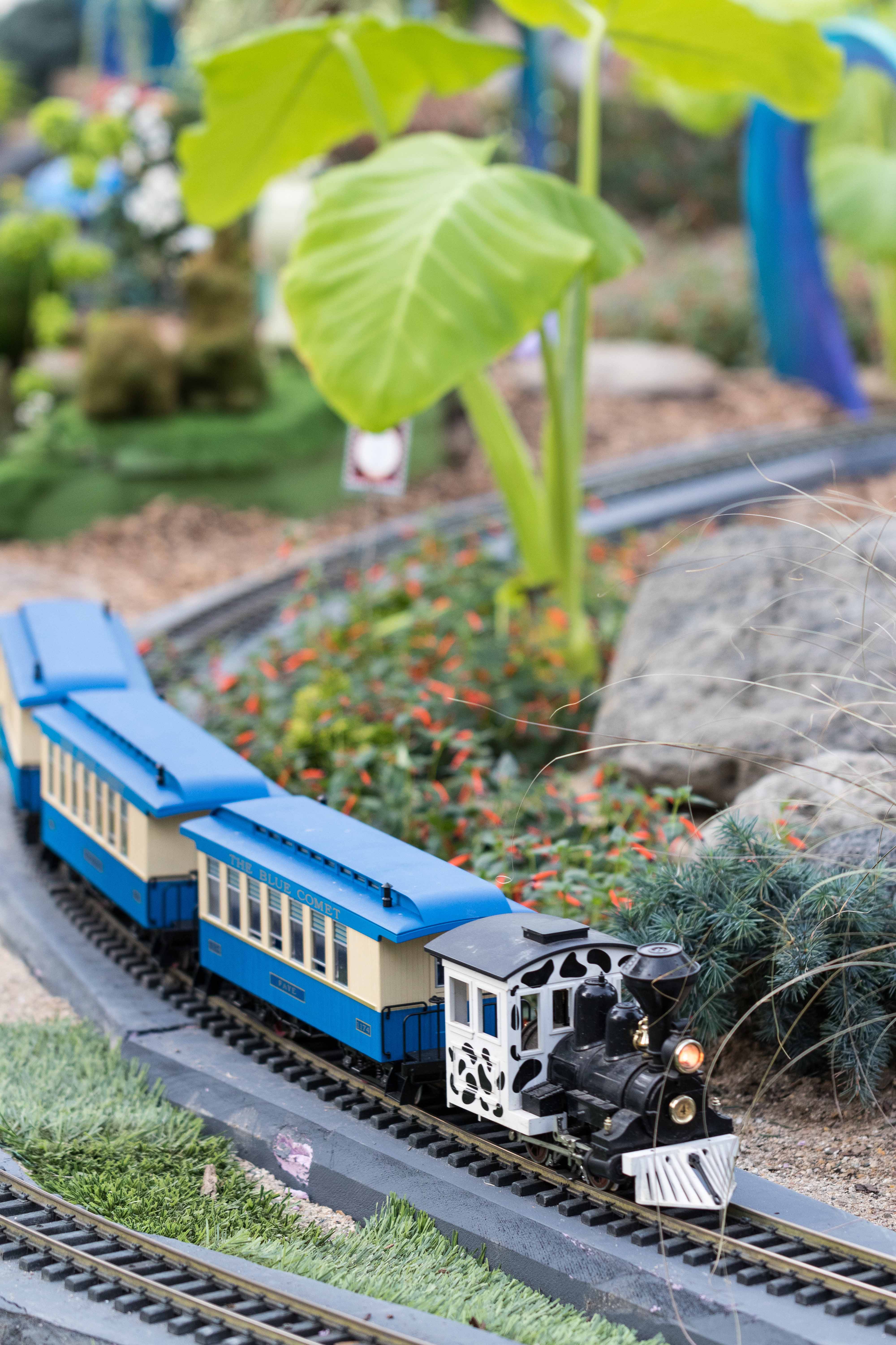 Railroad to Wonderland Garden Train Show at the Domes | https://www.roseclearfield.com