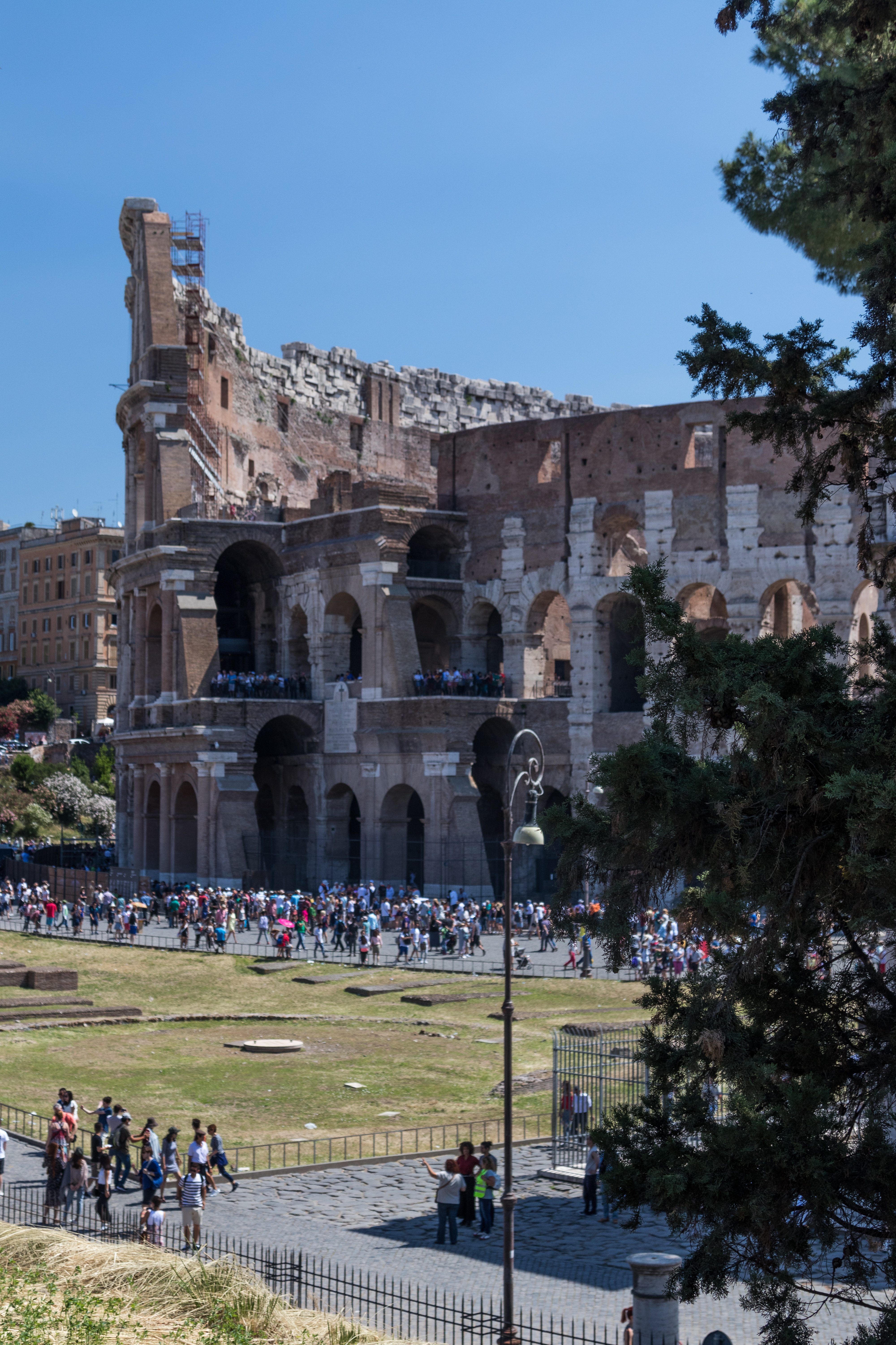 Mediterranean Cruise: Colosseum and Roman Forum | https://www.roseclearfield.com