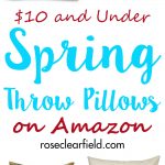 $10 and Under Spring Throw Pillows on Amazon | https://www.roseclearfield.com