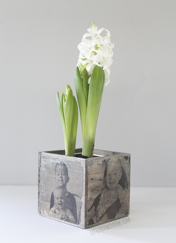 Unique Mother's Day Photo Gift Ideas - DIY Mother's Day Photo Planter via Little Red Window | https://www.roseclearfield.com