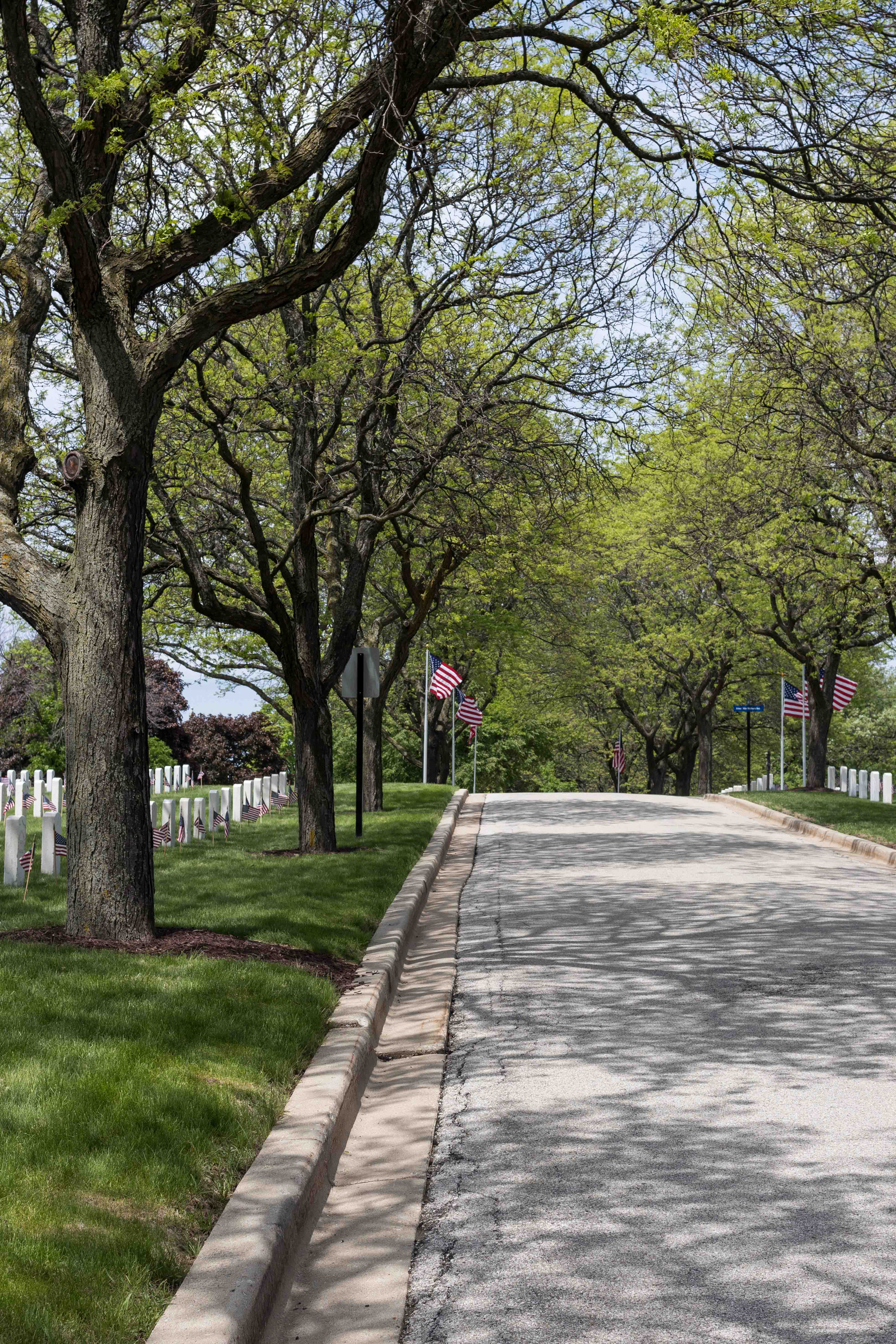 Memorial Day at the VA 2018 | https://www.roseclearfield.com