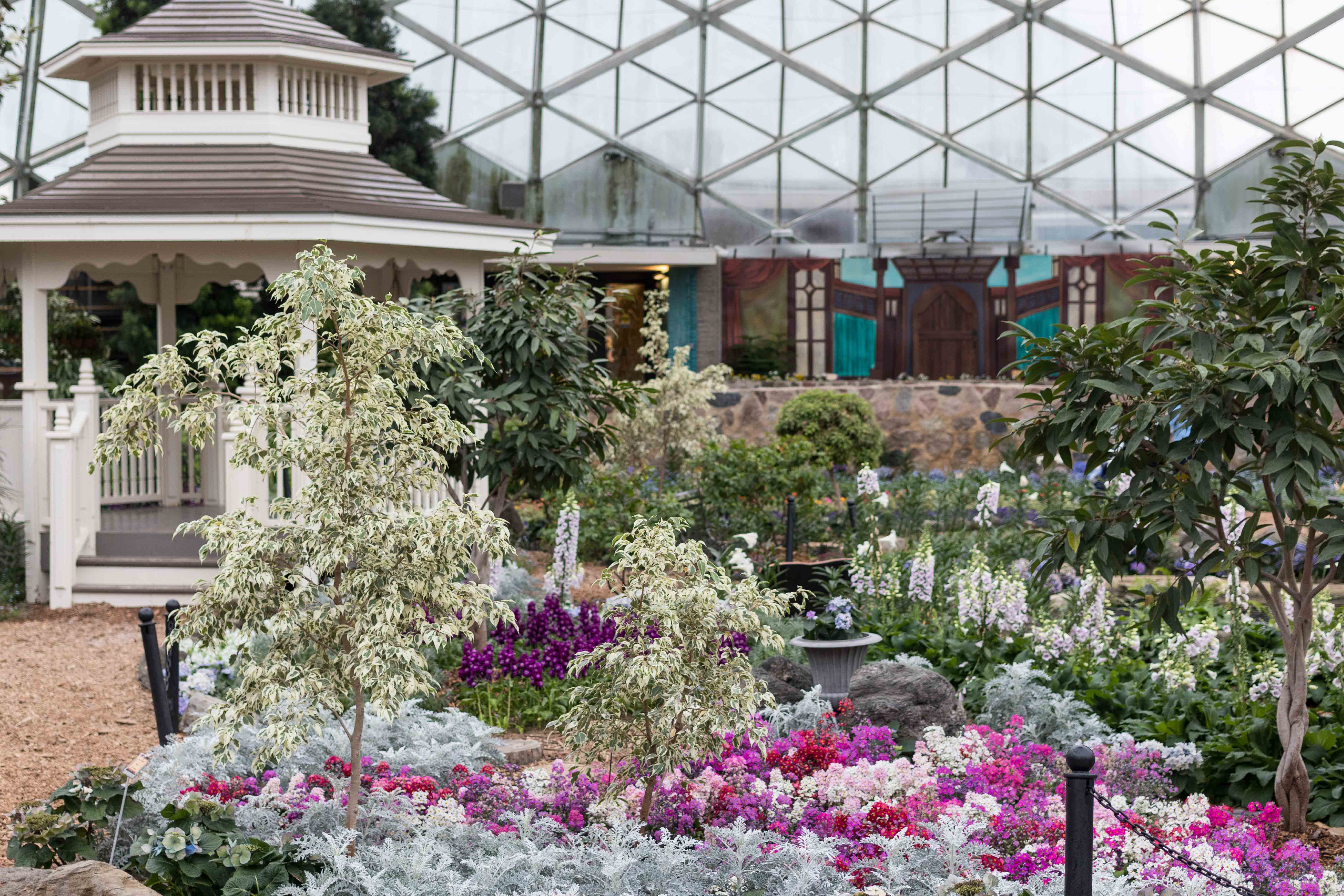 Shakespeare in Love Spring Floral Show at the Mitchell Park Domes | https://www.roseclearfield.com