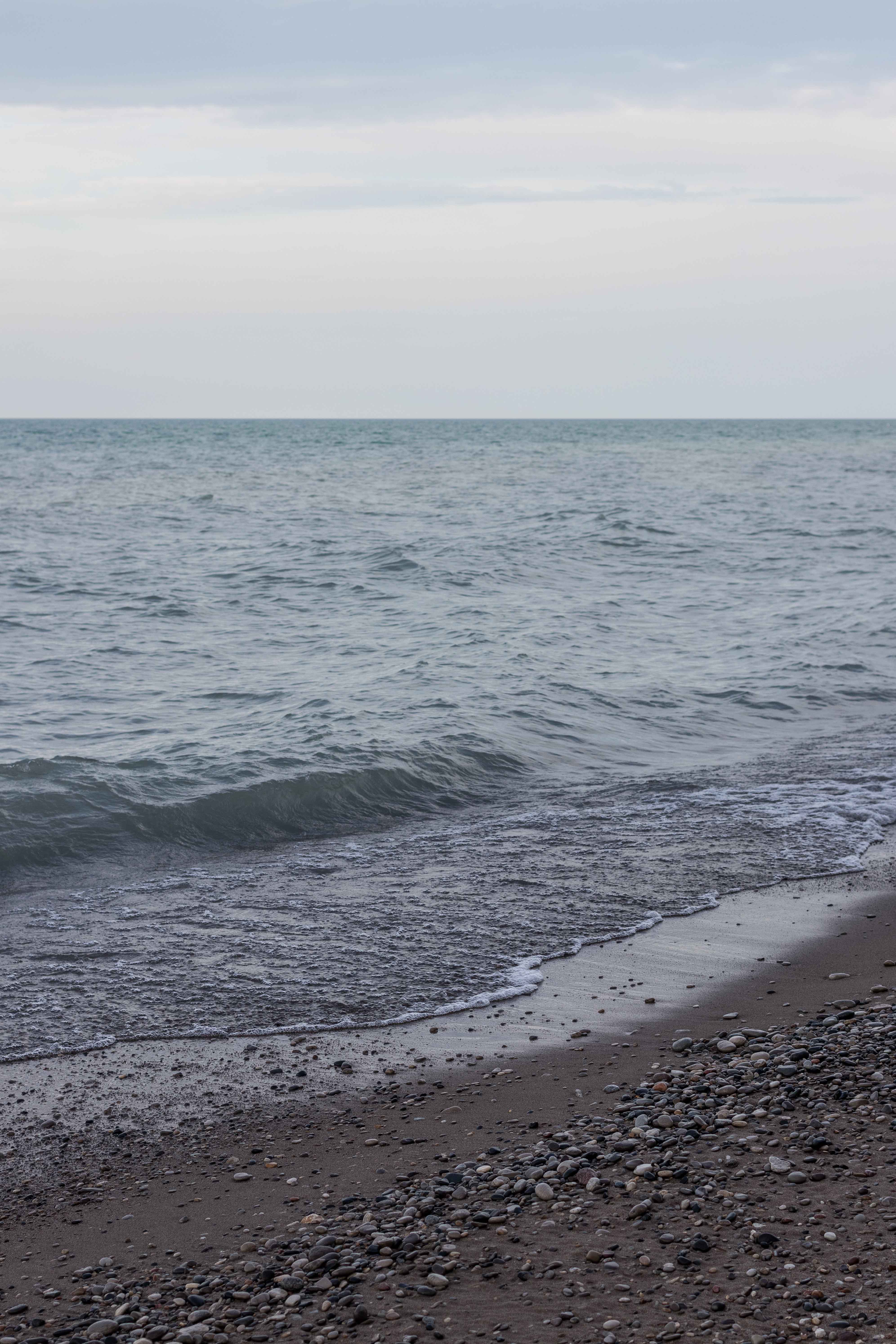 Tommy at the Beach April 2018 | https://www.roseclearfield.com