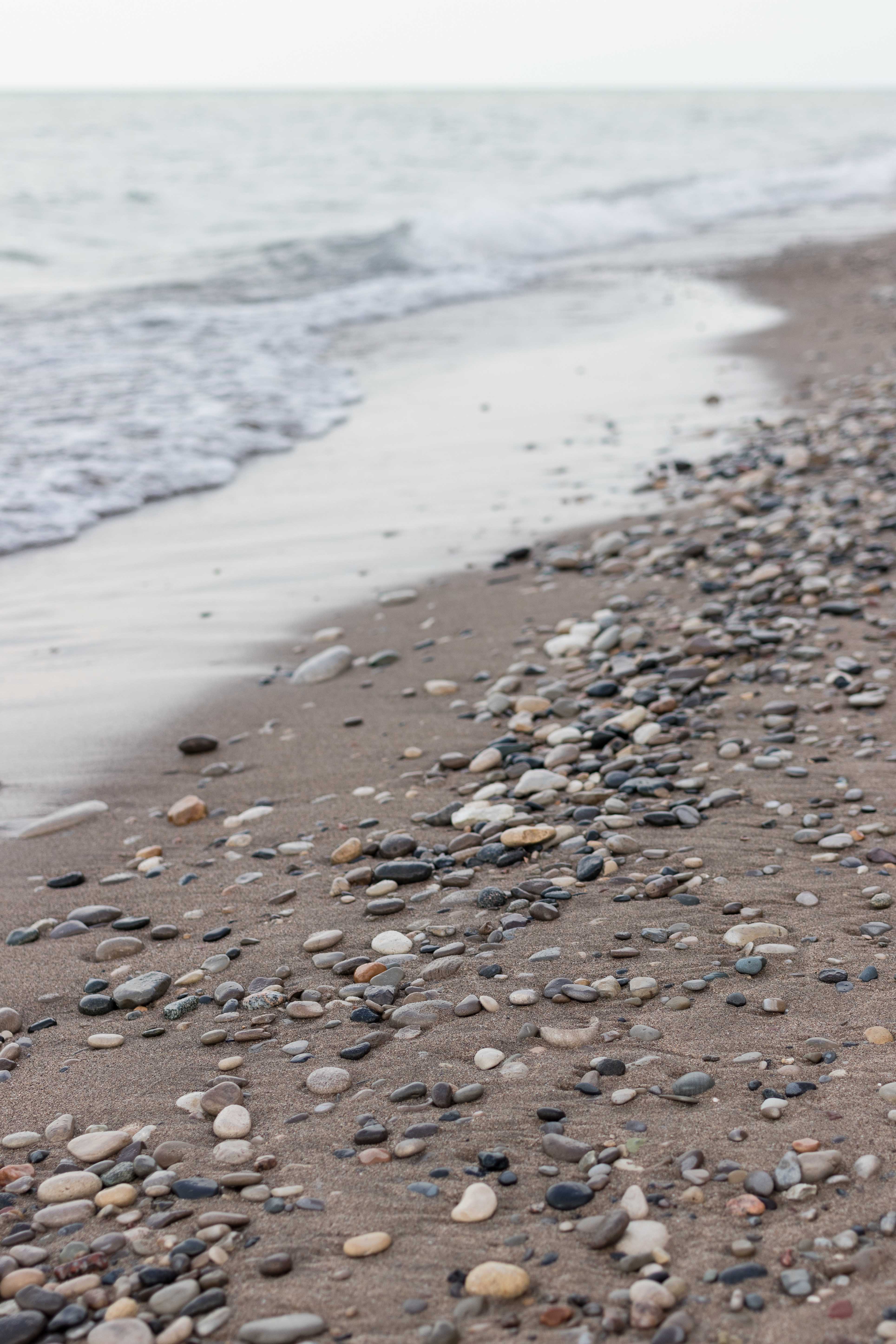 Tommy at the Beach April 2018 | https://www.roseclearfield.com