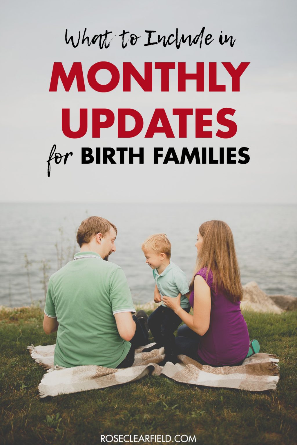 What to Include in Monthly Updates for Birth Families • Rose Clearfield