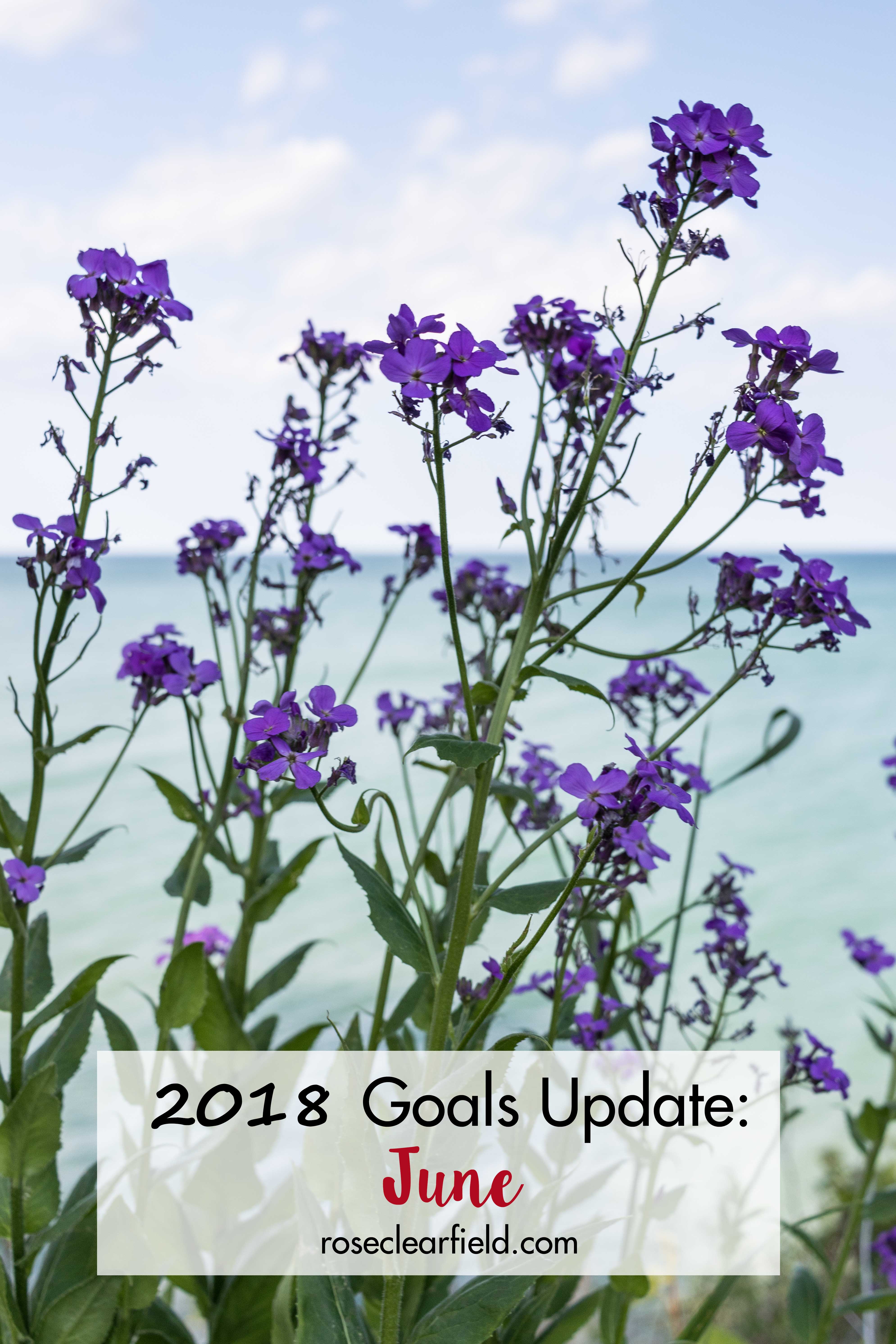 2018 Goals Update: June | https://www.roseclearfield.com
