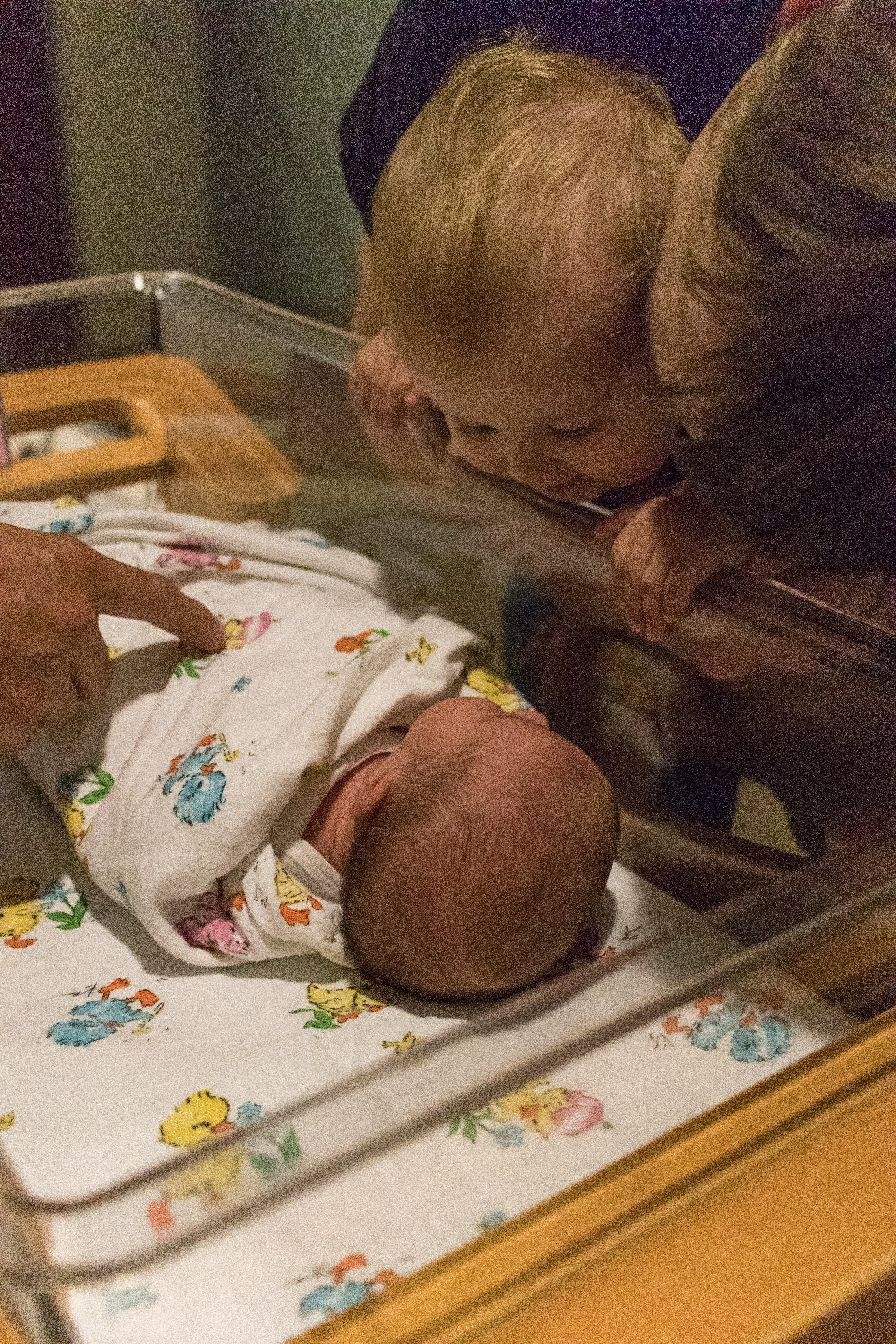 Baby Brookelynn with Tommy July 2018 | https://www.roseclearfield.com