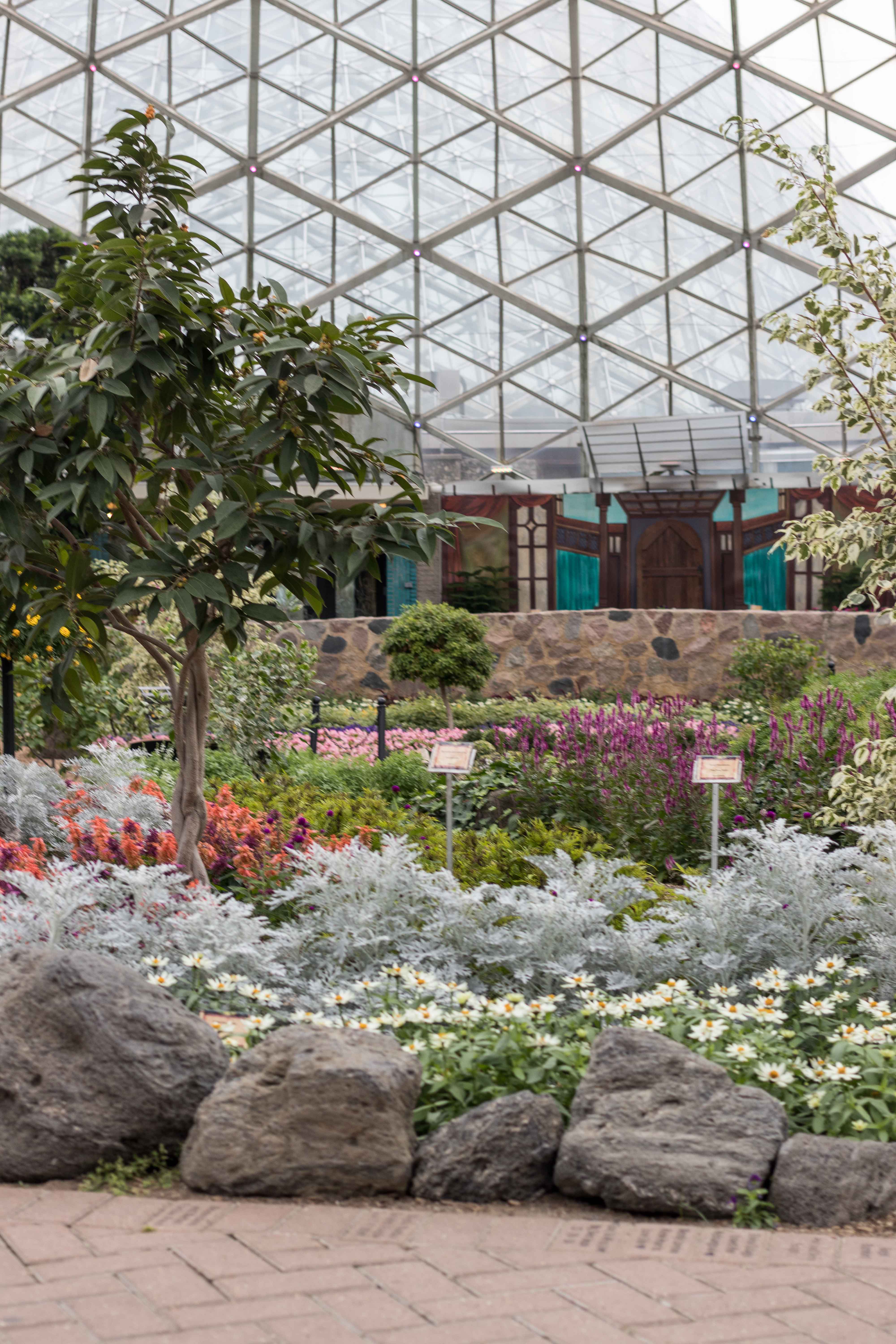 Shakespeare To Bee or Not To Bee Summer Floral Show at the Domes | https://www.roseclearfield.com