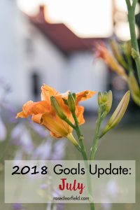 2018 Goals Update: July | https://www.roseclearfield.com