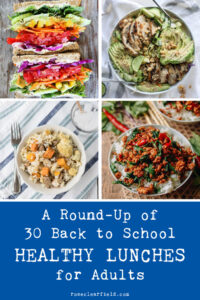A Round-Up of 30 Back to School Healthy Lunches for Adults