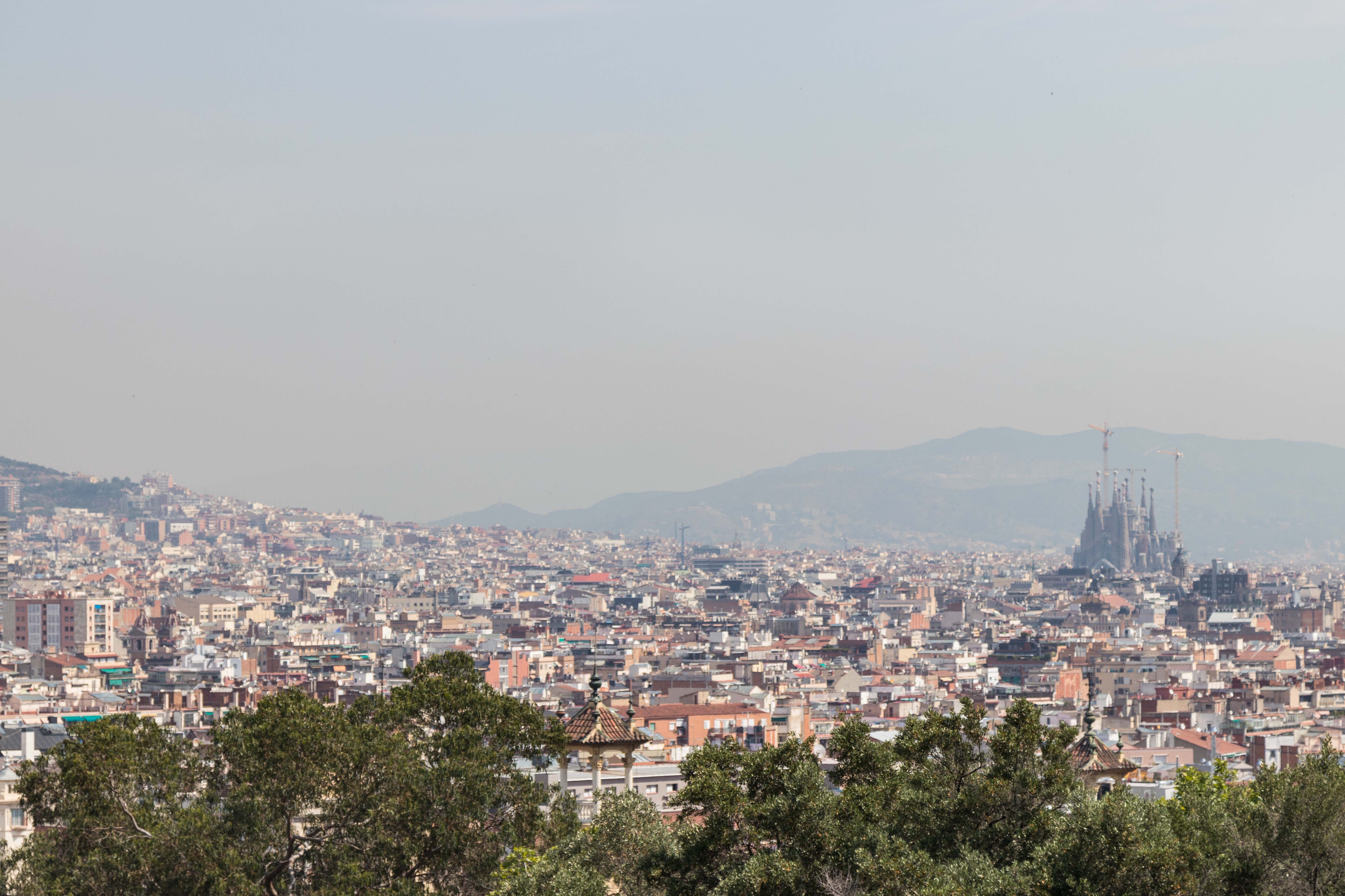 Barcelona Skyline Landscape Orientation Best A • Rose Clearfield