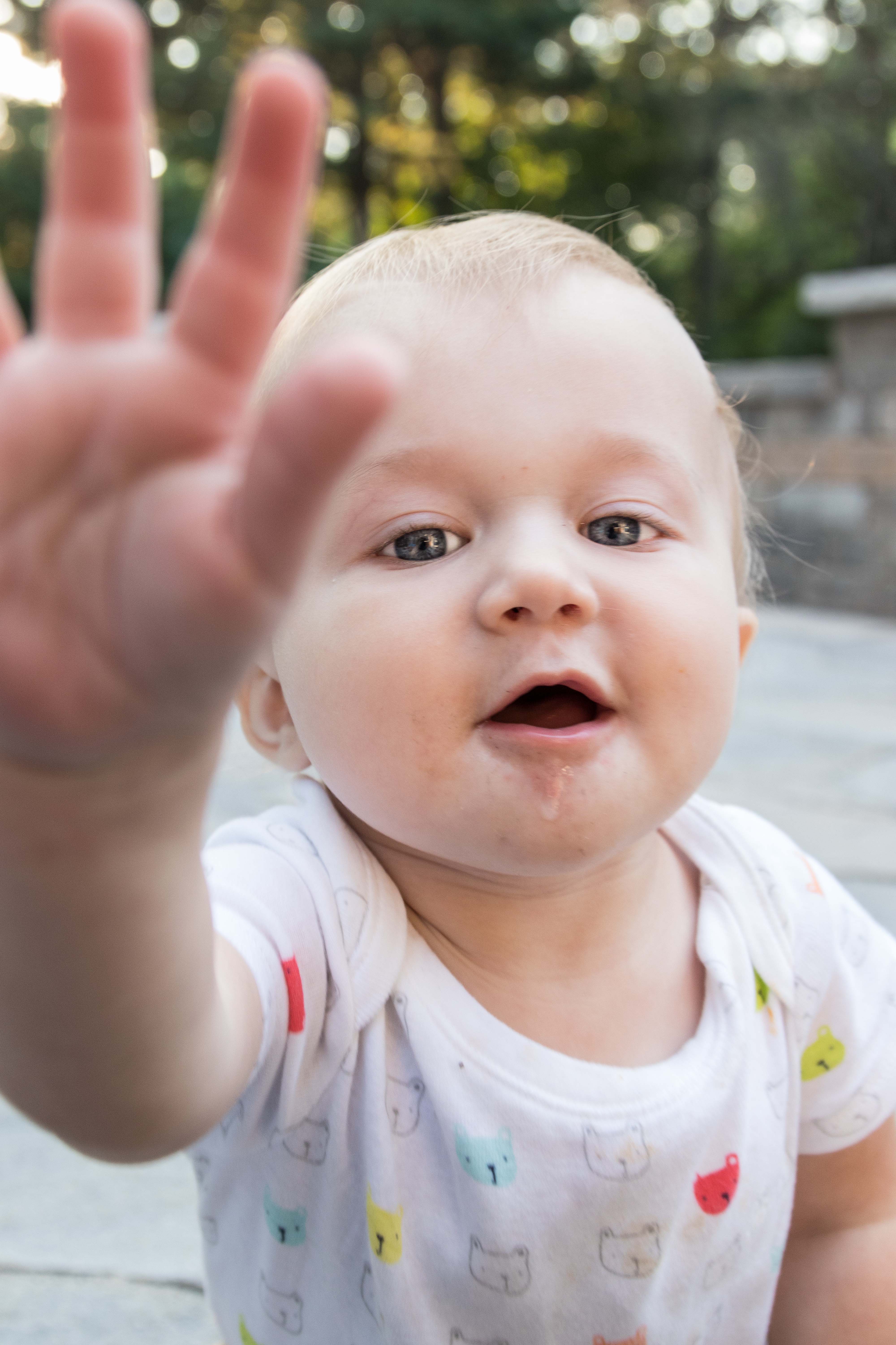 Tommy Trying to Grab the Camera August 2018 | https://www.roseclearfield.com