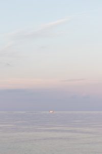 Golden Hour Summer 2018 | https://www.roseclearfield.com