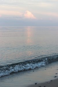 Golden Hour Summer 2018 | https://www.roseclearfield.com