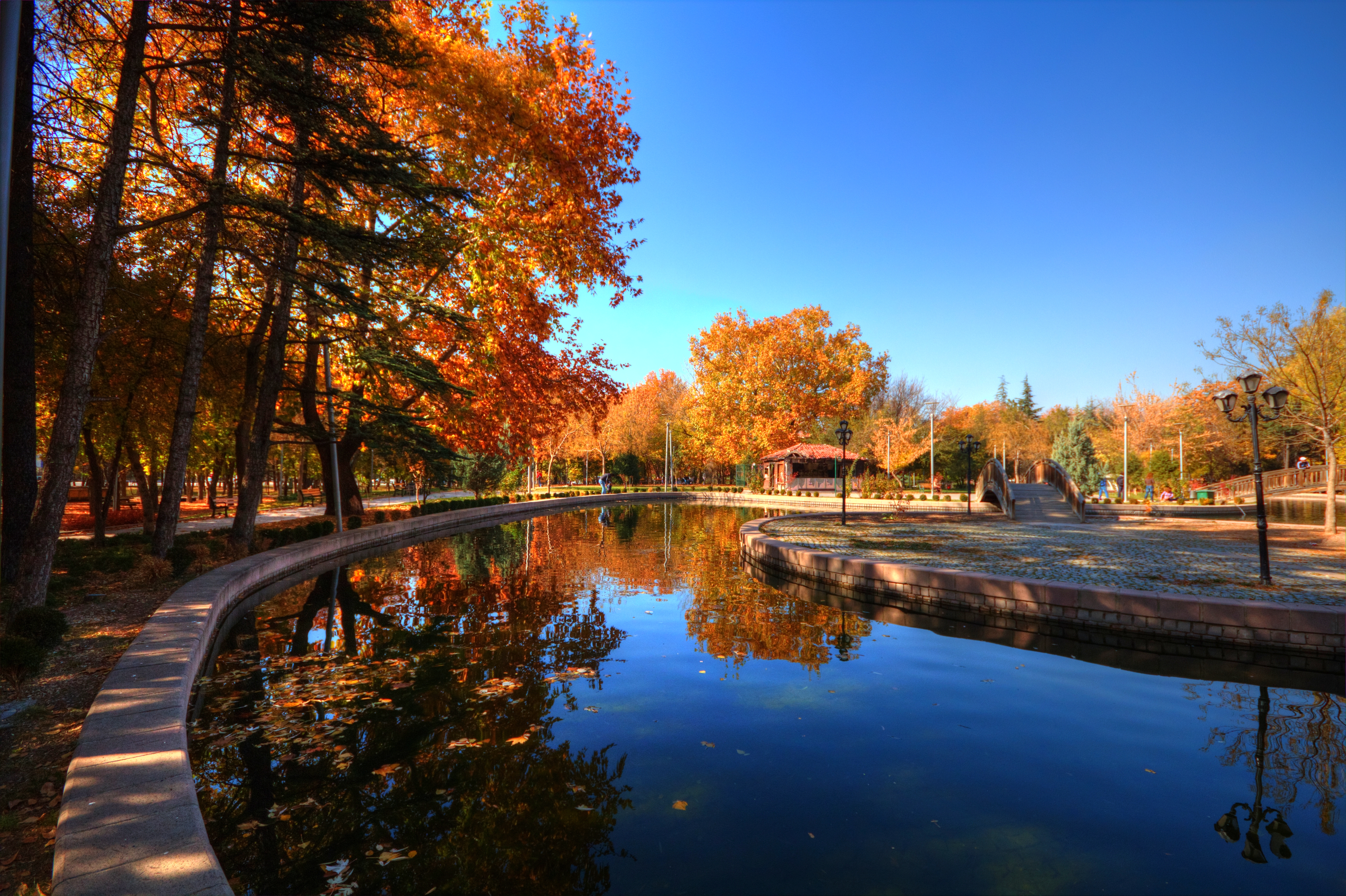 20 Creative Fall Photography Ideas - Autumn at Park - Omer Unlu via Flickr | https://www.roseclearfield.com