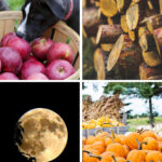 20 Creative Fall Photography Ideas Collage