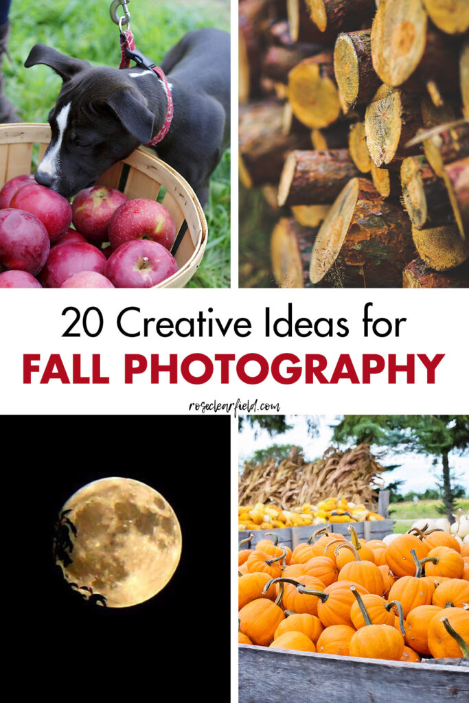 20 Creative Ideas for Fall Photography