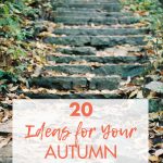 20 Ideas for Your Autumn Photography