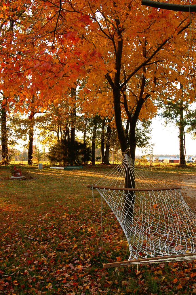20 Creative Fall Photography Ideas - Fall Hammock by Taber Andrew Bain via Flickr