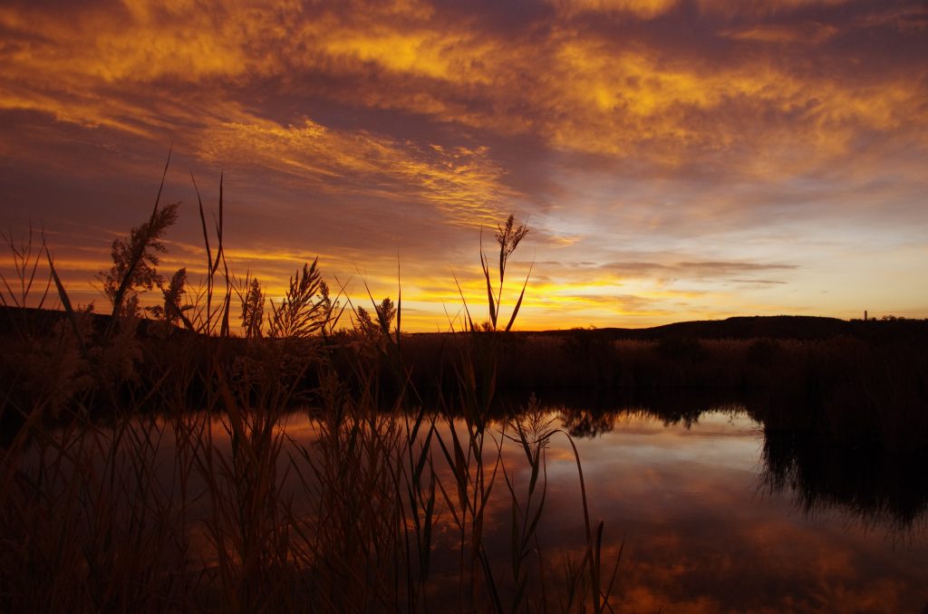 20 Creative Fall Photography Ideas - Fall Sunrise by sarowen via Flickr