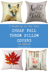 A Round Up of the Best Cheap Fall Throw Pillow Covers on Amazon