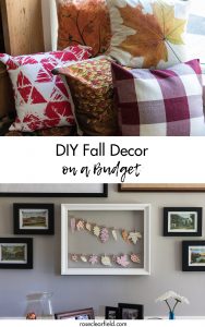 Fall Decor on a Budget