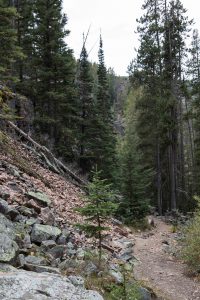 Montana Highlights 2018 | https://www.roseclearfield.com