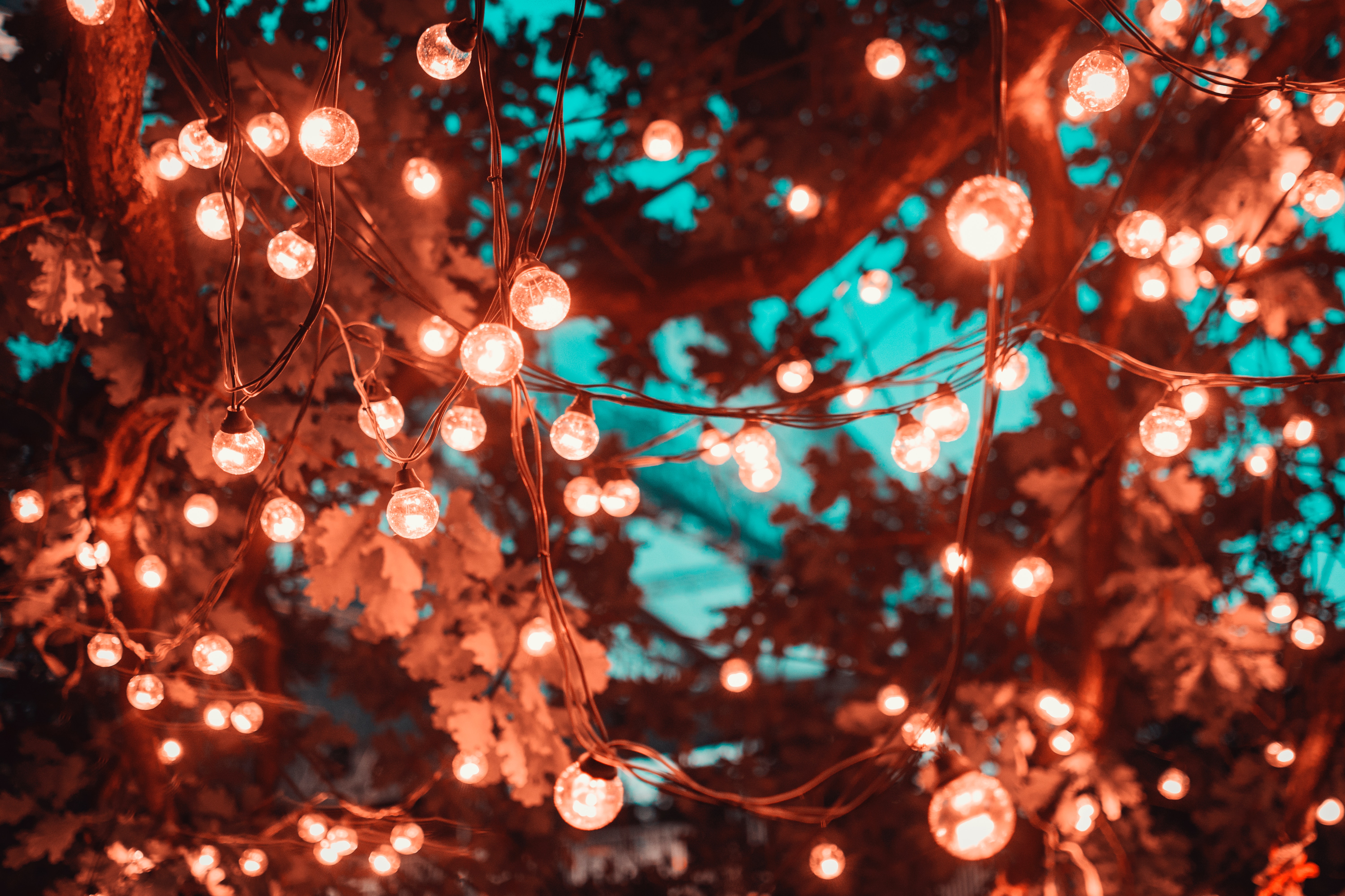 20 Creative Fall Photography Ideas - Brown String Lights in Tree by Artem Saranin via Pexels | https://www.roseclearfield.com