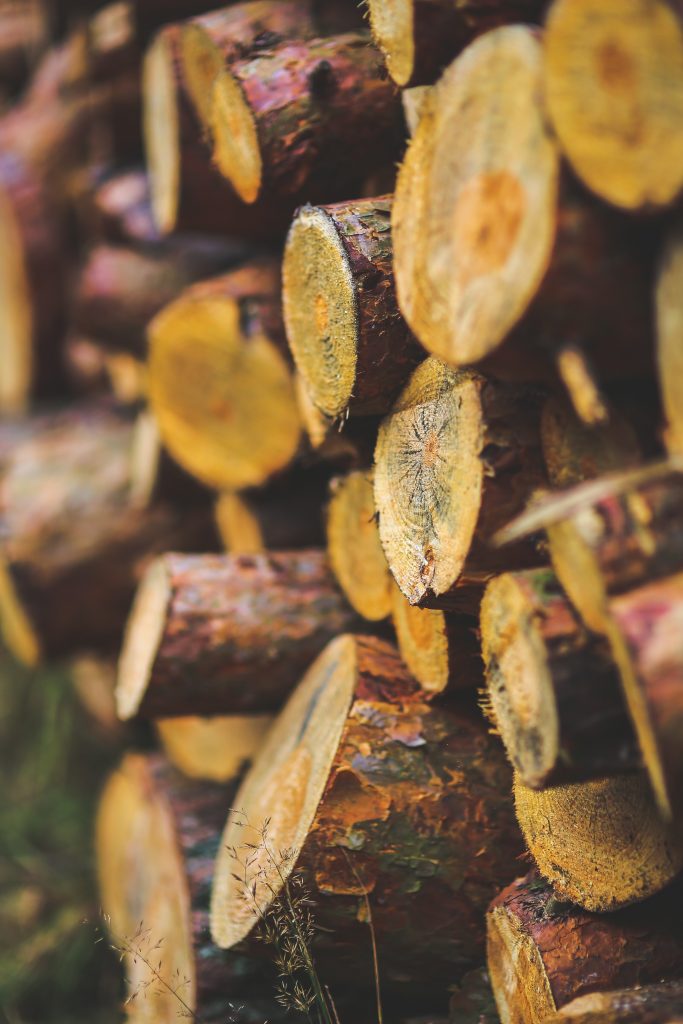 20 Creative Fall Photography Ideas - Cut Wood for the Winter via Pexels