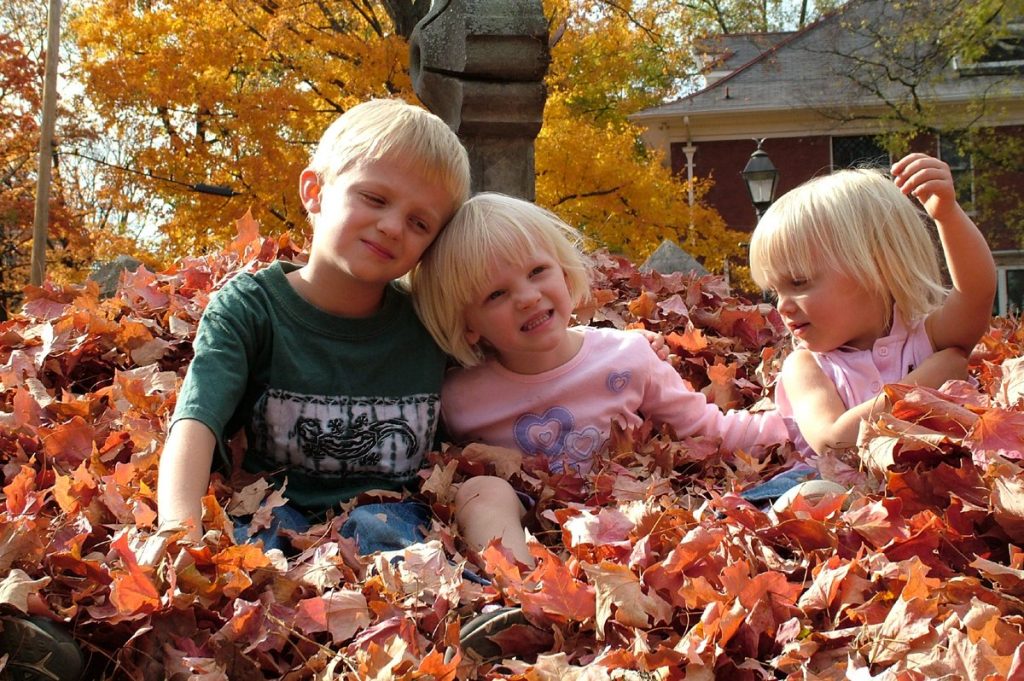 20 Creative Fall Photography Ideas - Family Fall Photos in the Leaves by Ned Horton via FreeImages