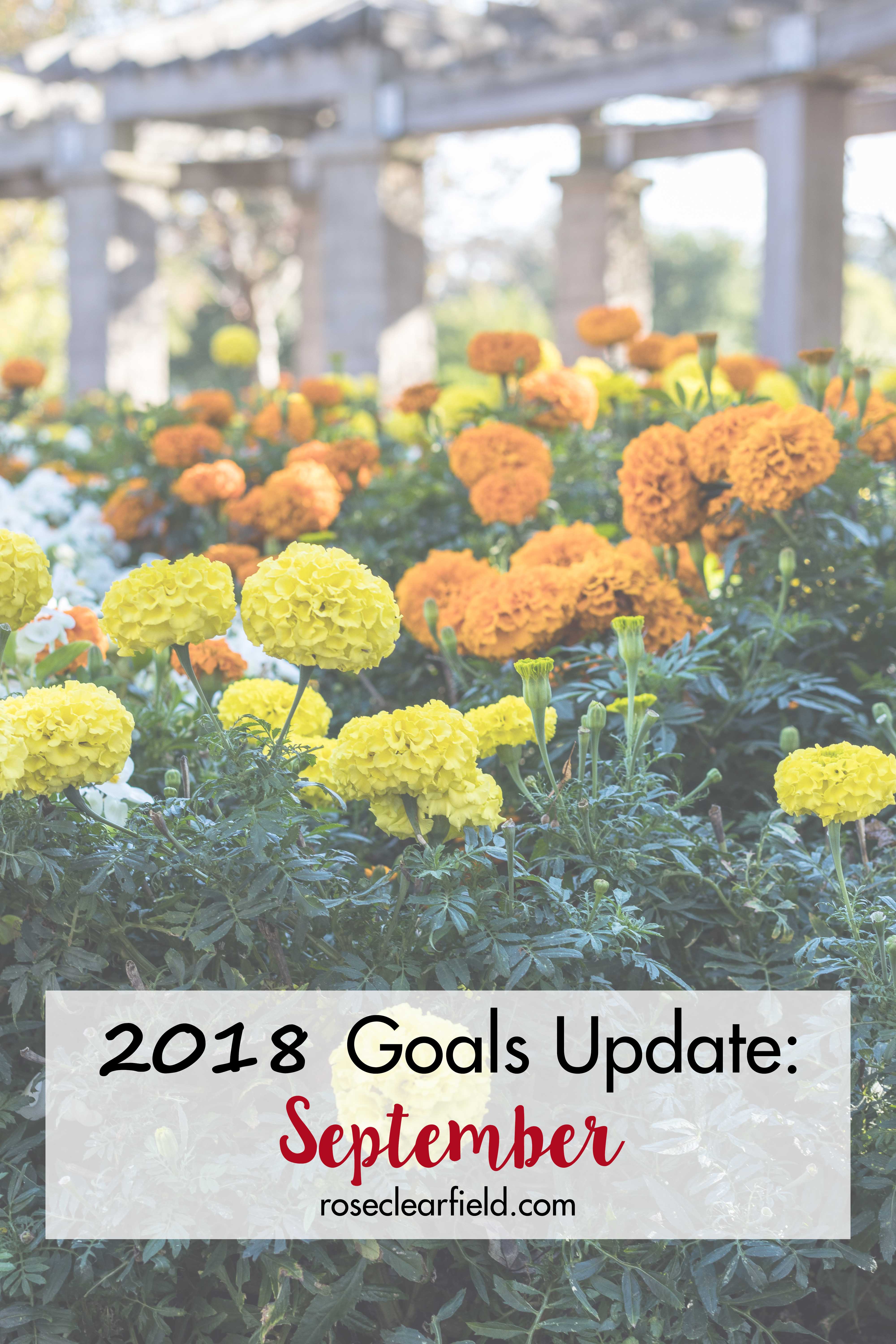 2018 Goals Update: September | https://www.roseclearfield.com