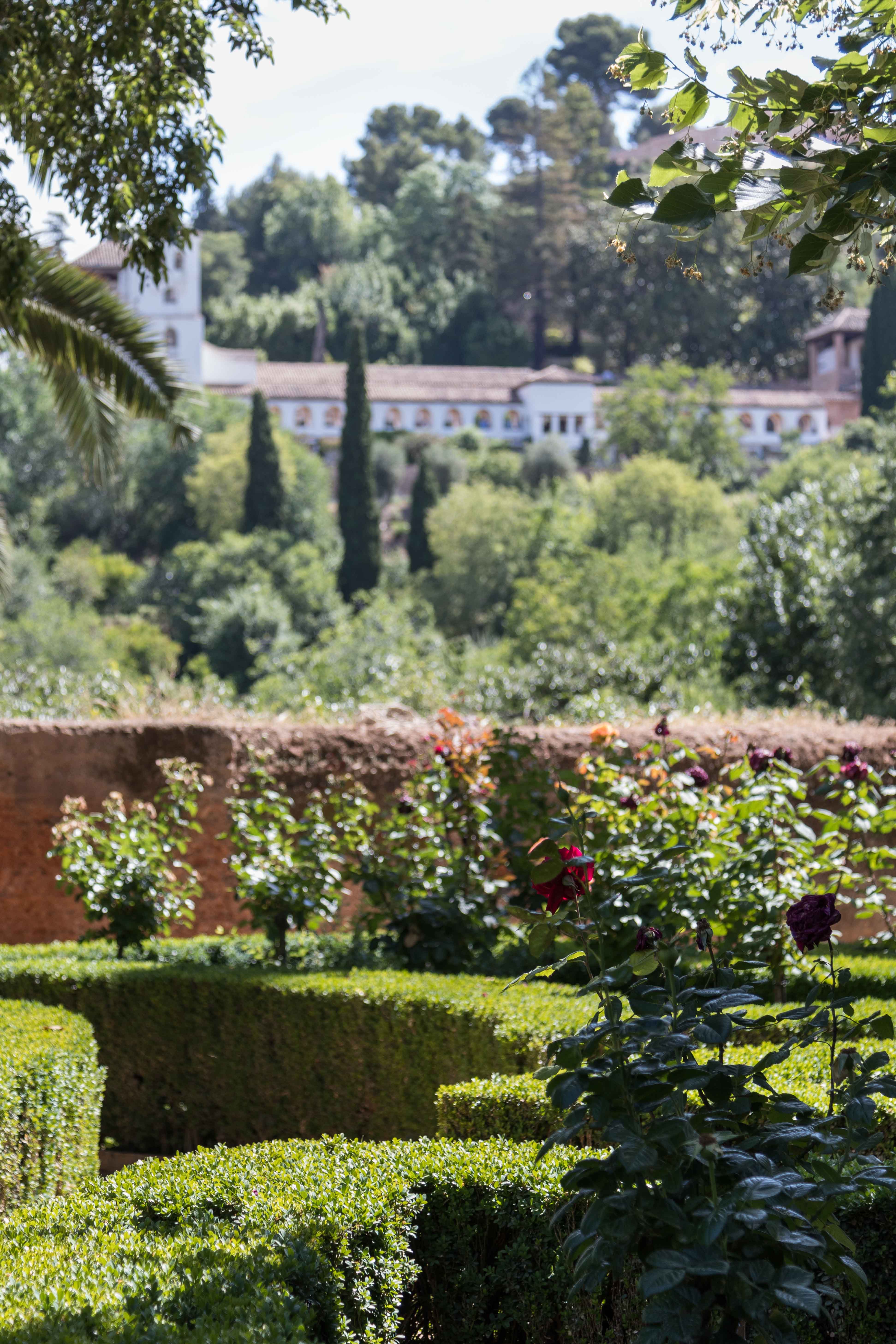 Mediterranean Cruise: Alhambra Palace, Granada, Spain | https://www.roseclearfield.com