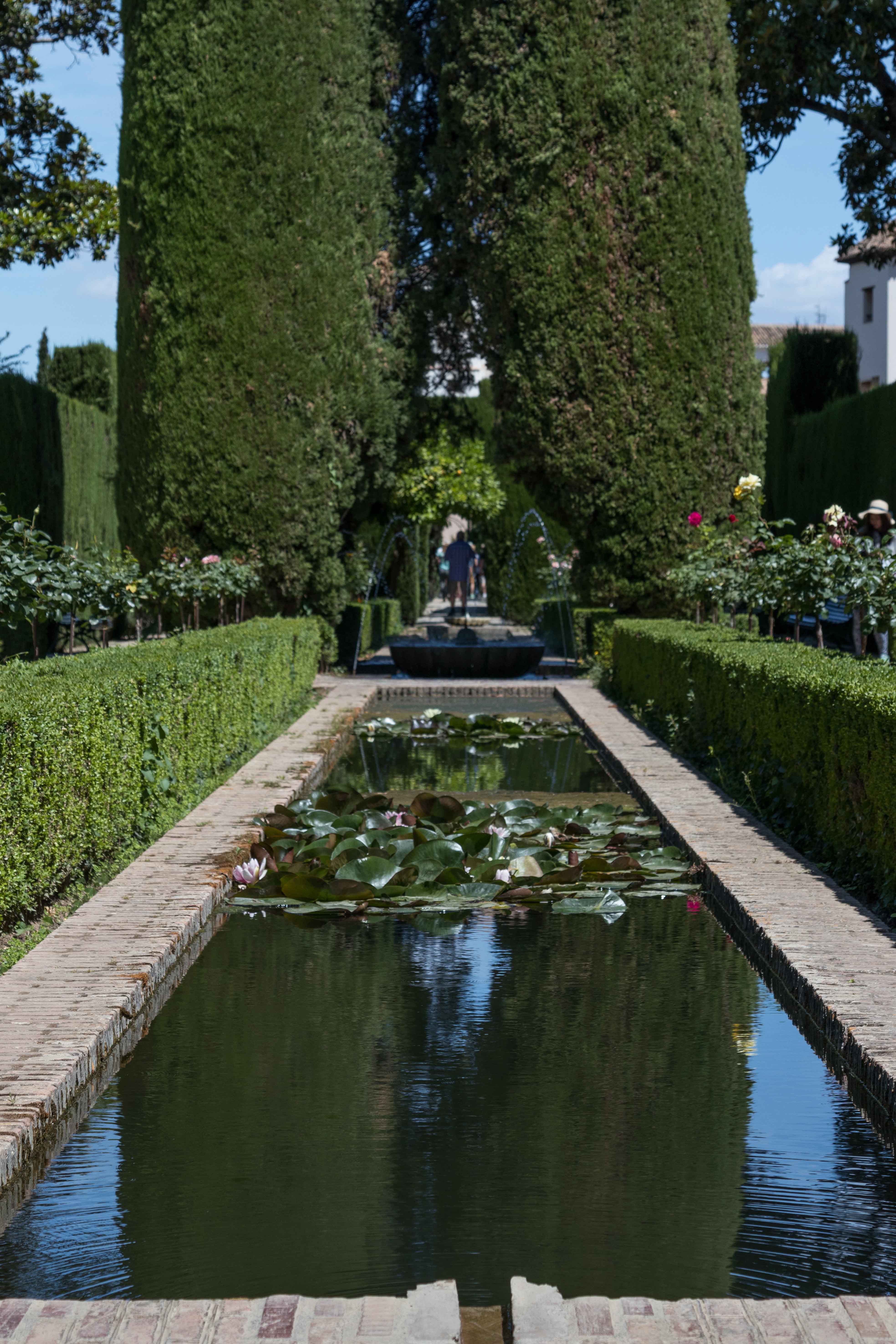 Mediterranean Cruise: Alhambra Palace, Granada, Spain | https://www.roseclearfield.com