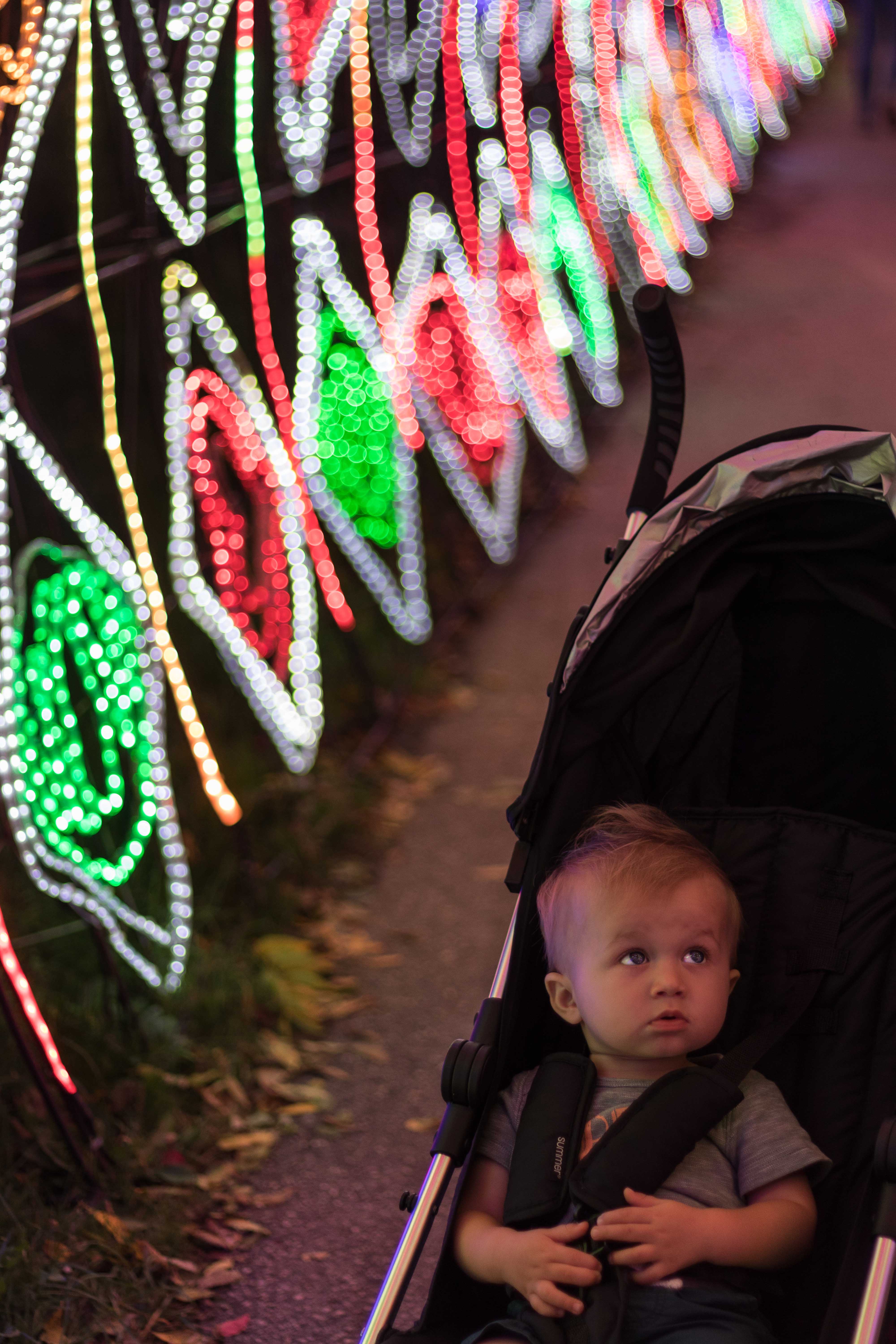 China Lights 2018, Boerner Botanical Gardens, Wisconsin | https://www.roseclearfield.com