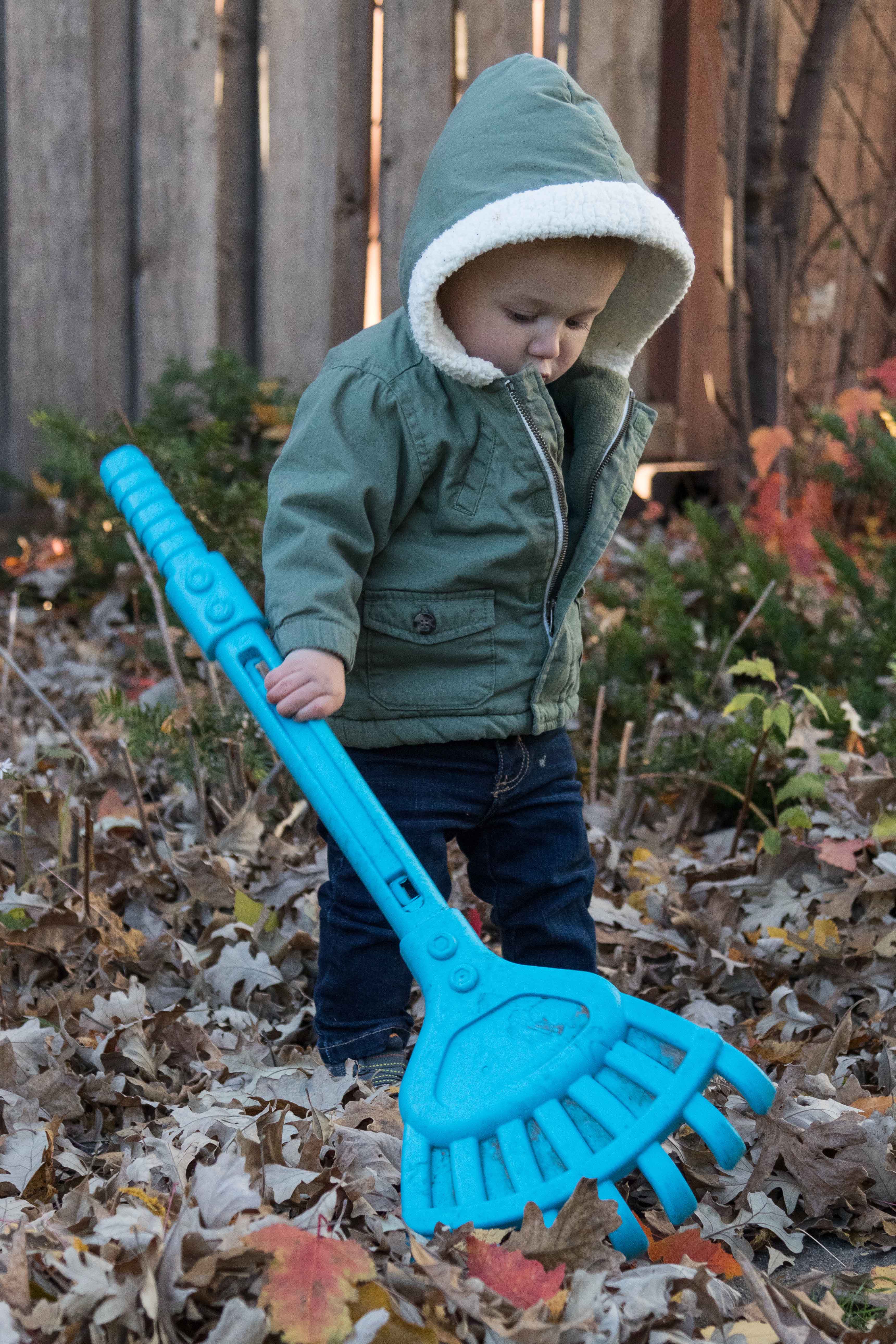 Tommy Raking Leaves in Minneapolis October 2018 | https://www.roseclearfield.com