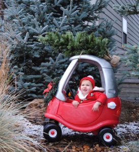 20 Creative Holiday Photo Ideas - Cozy Coupe with Christmas Tree via Sass and Cecile | https://www.roseclearfield.com