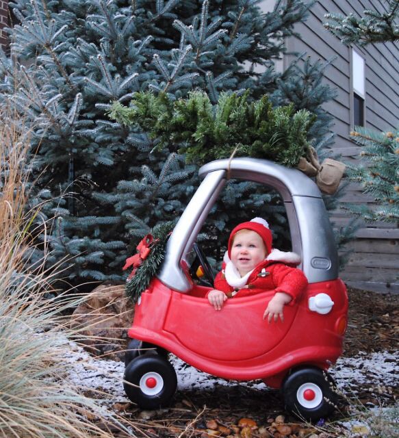 20 Creative Holiday Photo Ideas - Cozy Coupe with Christmas Tree via Sass and Cecile | https://www.roseclearfield.com